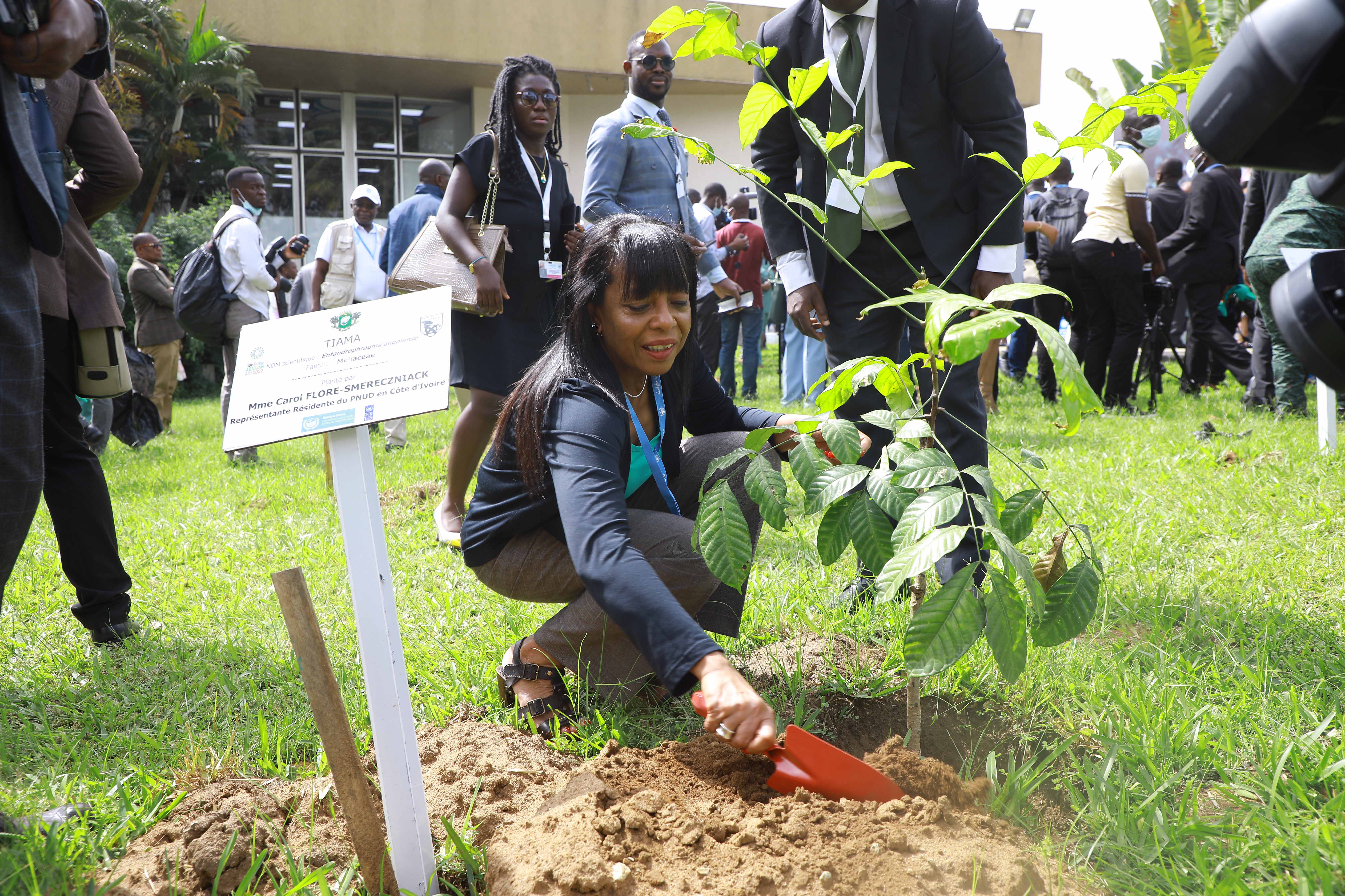 Madame la Représentante du PNUD effectuant un planting d'arbre