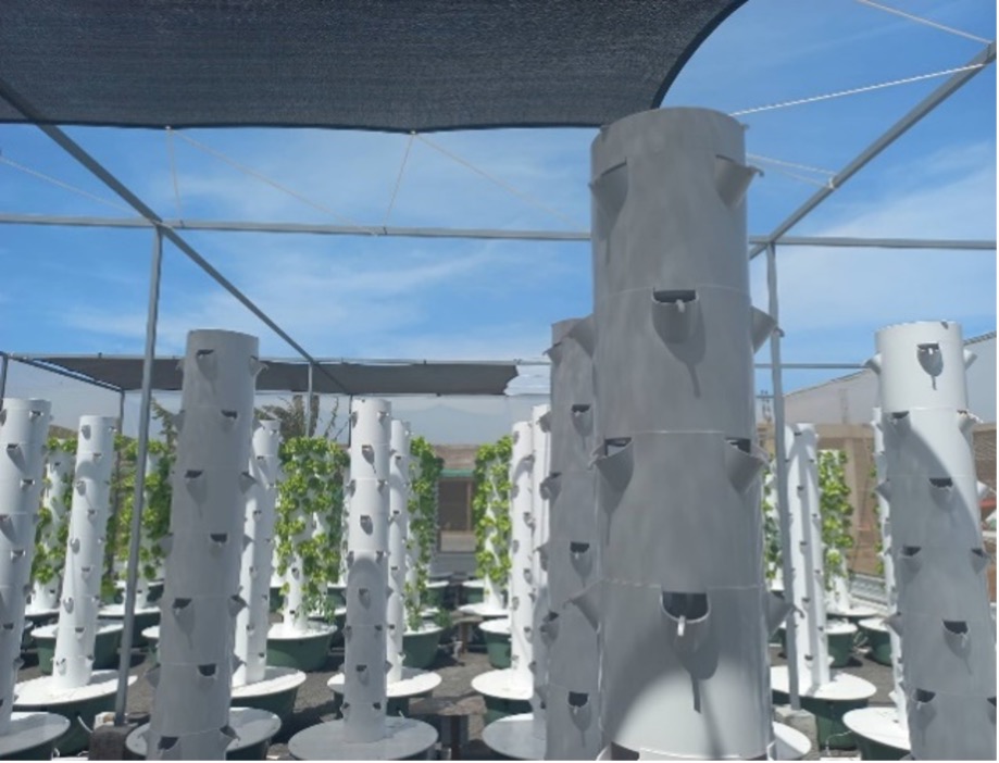 Breaking Down the Challenges and Opportunities of Commercial Aquaponic Farming