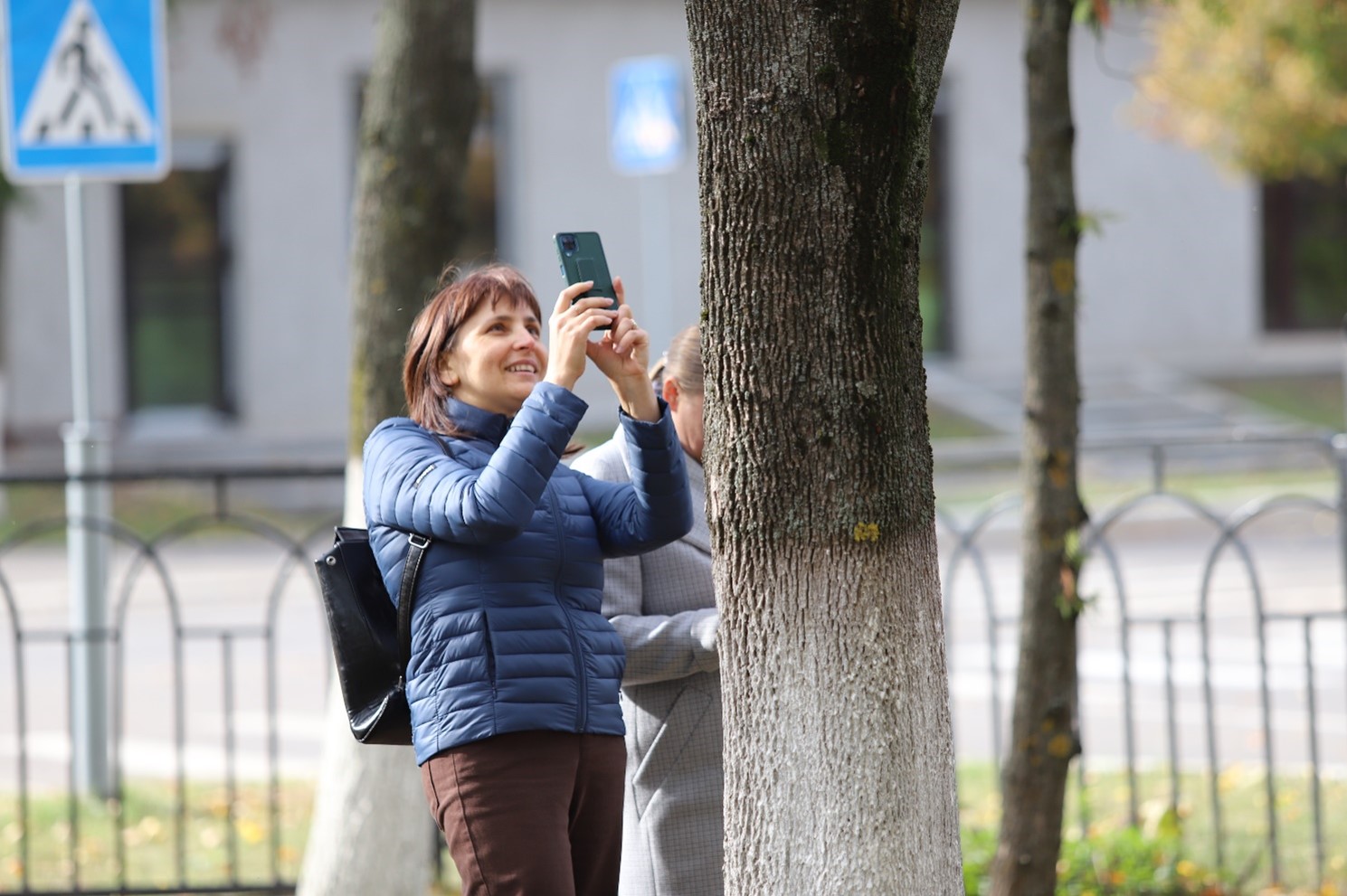 Woman photographing a tree 