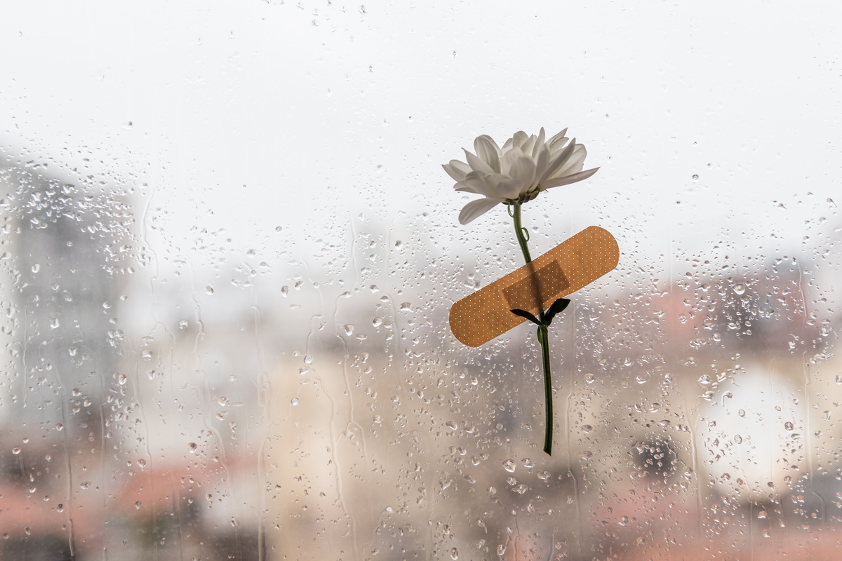 Flower taped to a fogged window