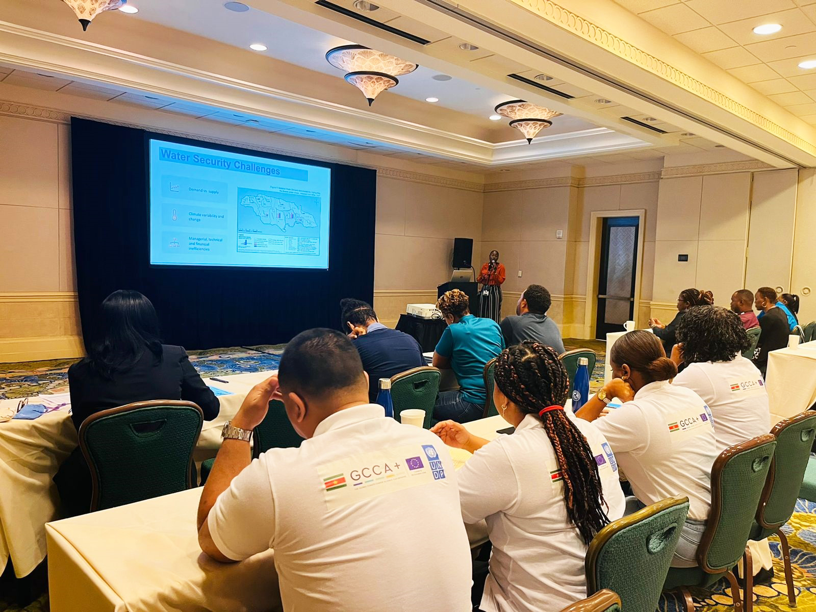 Representatives of the Ministry of Public Works and the Ministry of Natural Resources, Suriname are participating in the Strategies & Policies for Sustainable for Water Governance session