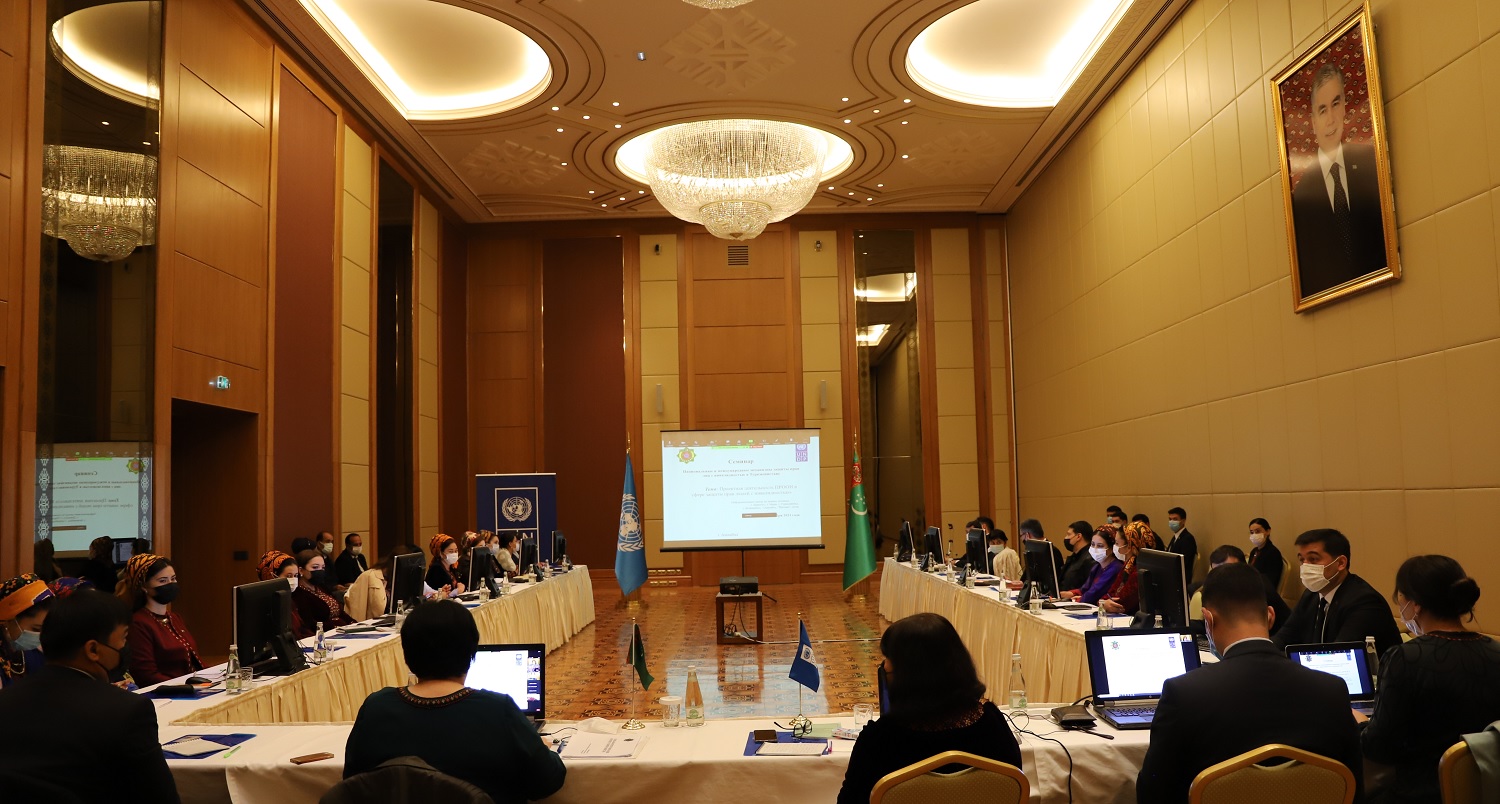 Проект 2025 сша. UNDP В Туркменистане. ПРООН +Россия 2022. Представительство ООН В Ташкенте. Представительство ООН В Москве.
