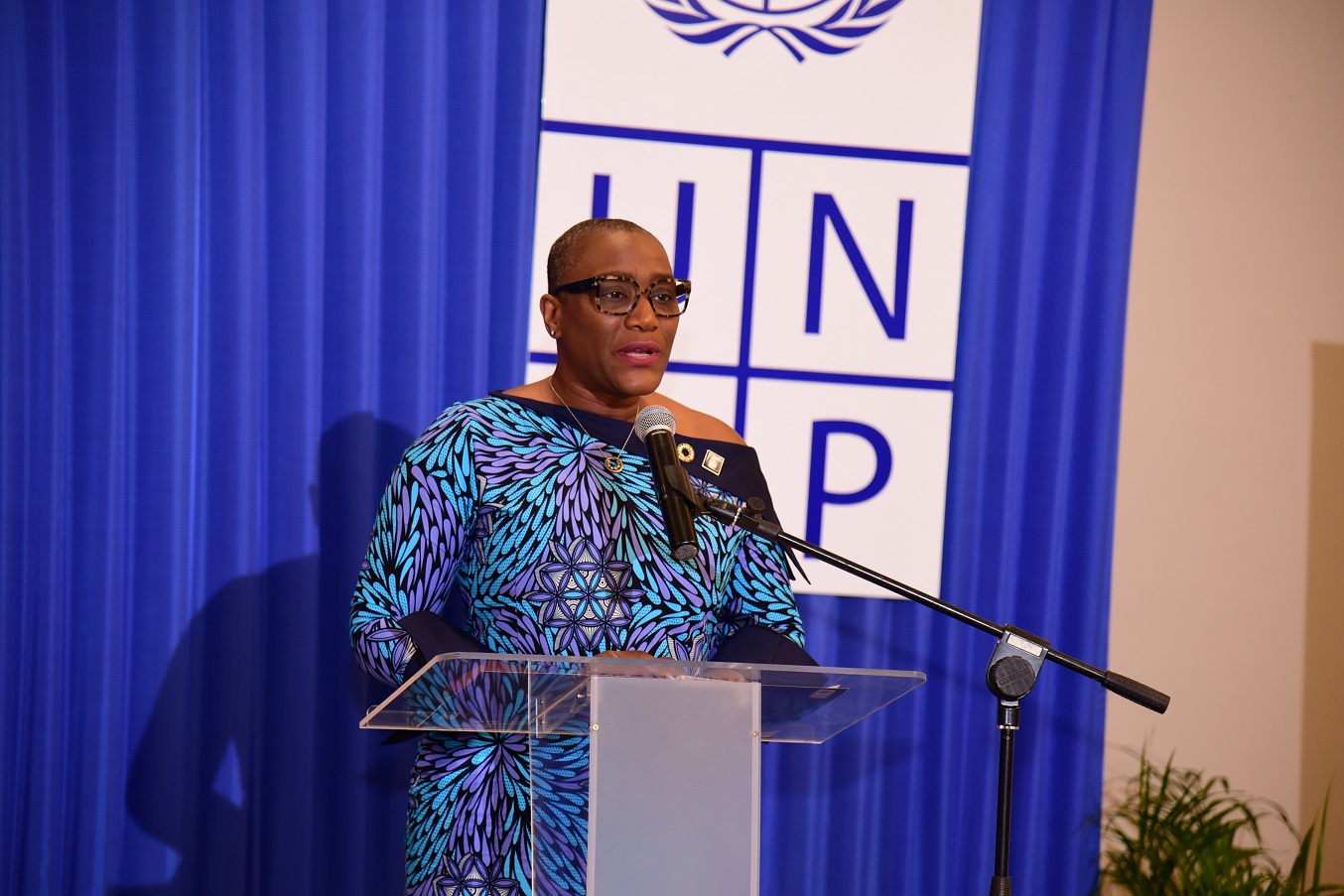 UNDP Resident Representative, Denise E Antonio addressing launch of country programme