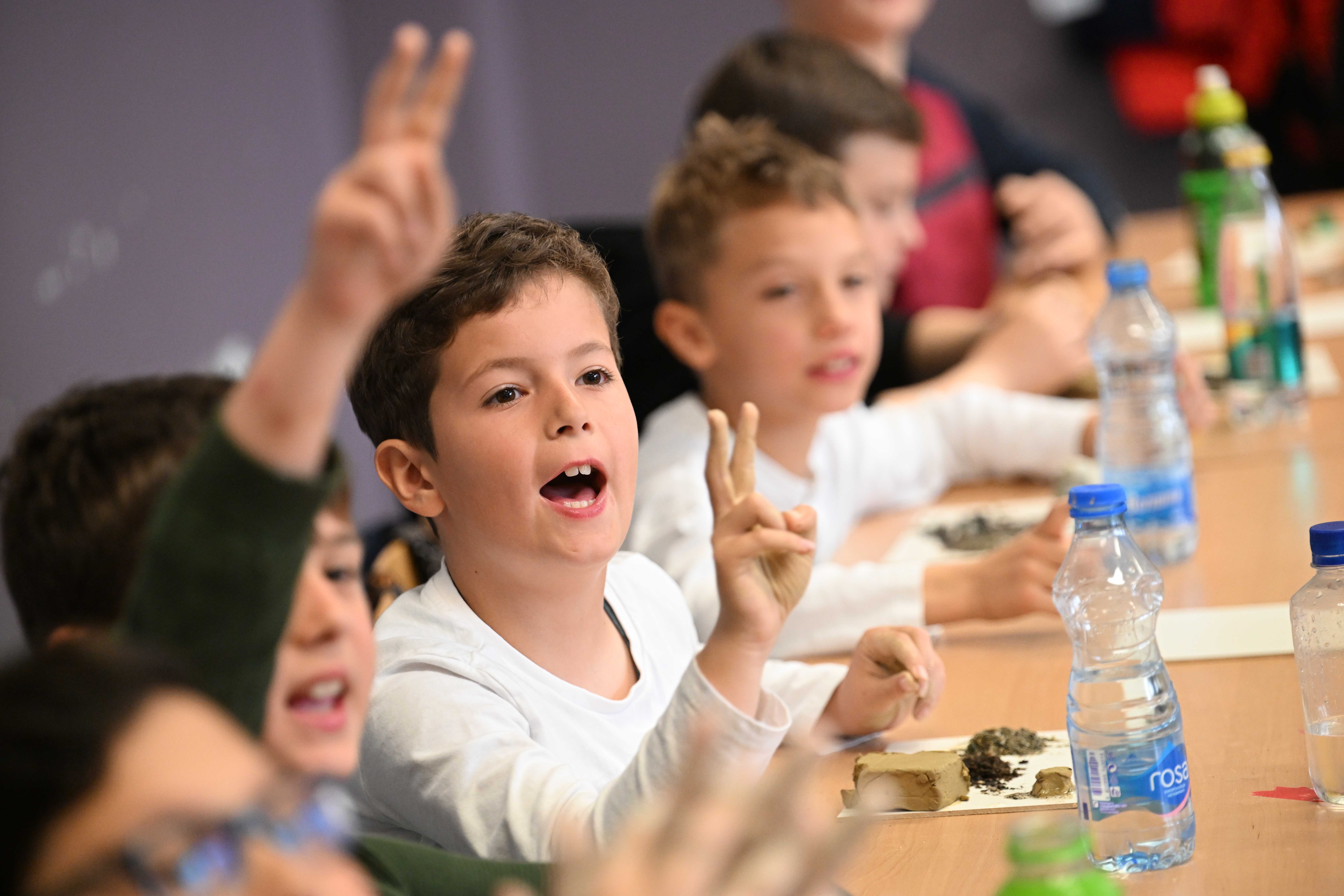 Young boys raising their hands during class