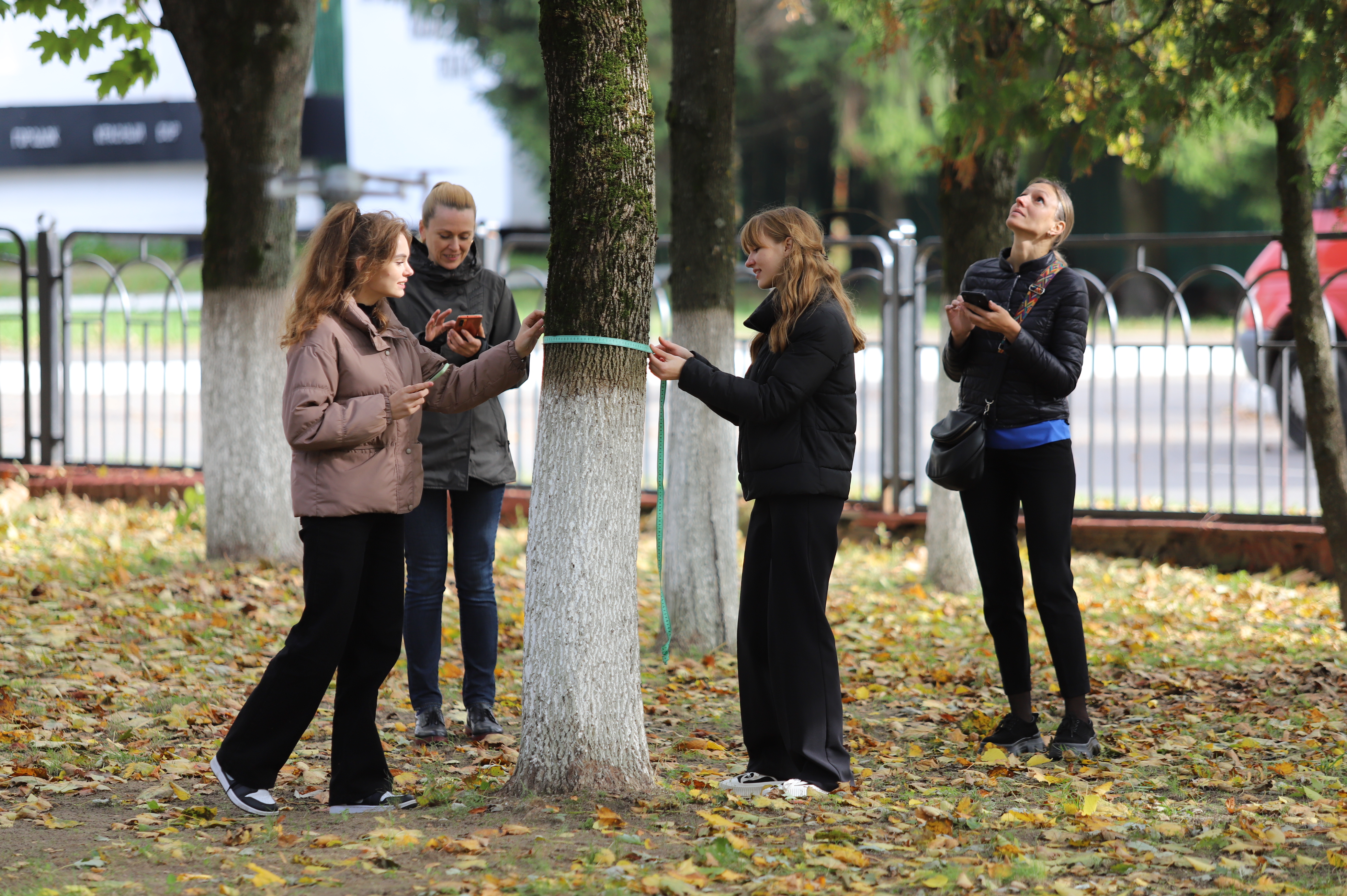 Young people monitoring trees conditions 