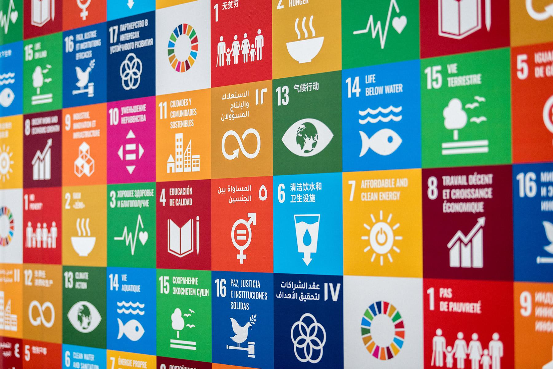 Sustainable Development Goals | United Nations Development Programme