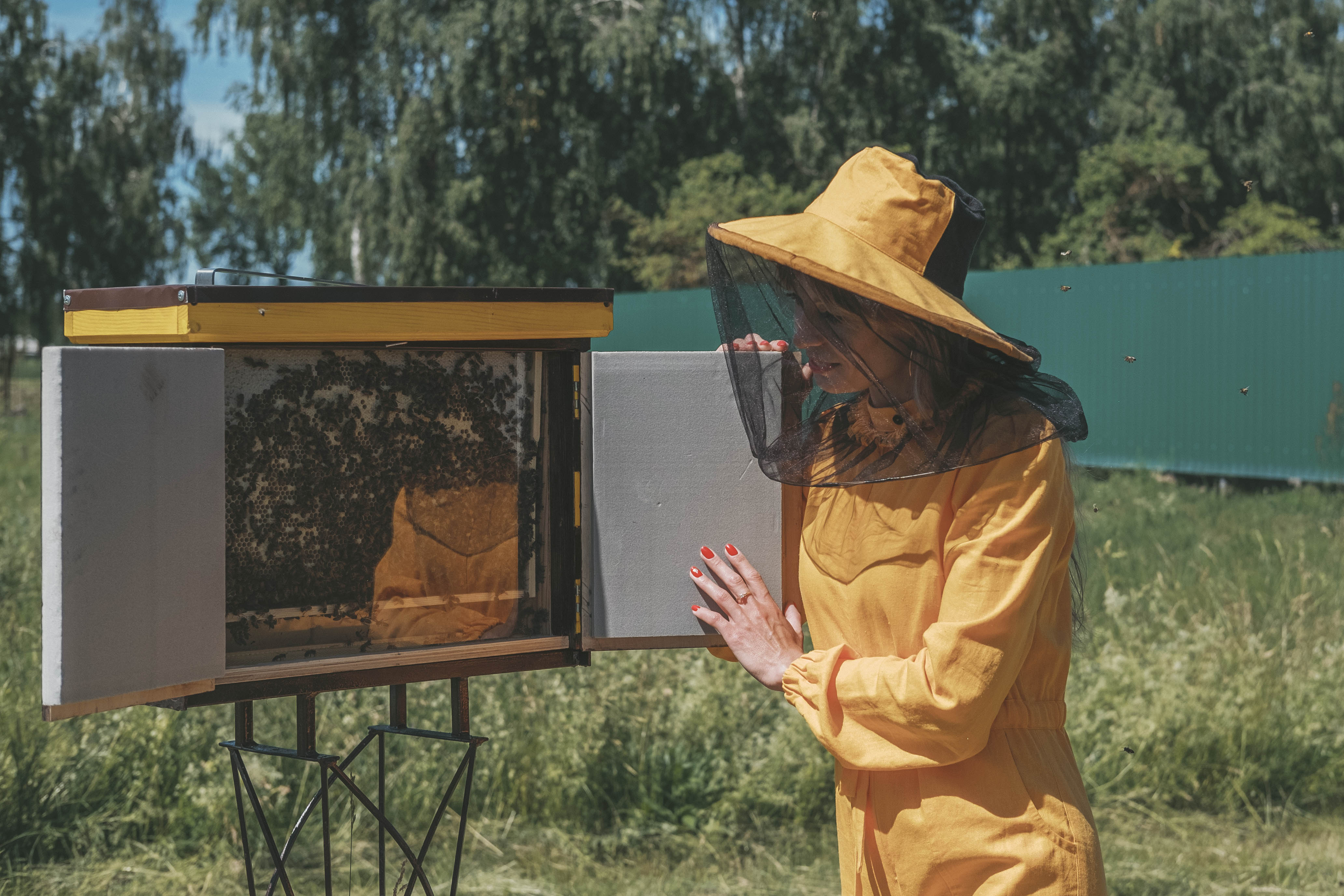 III. The Role of Beekeeping in Promoting Ecological Balance