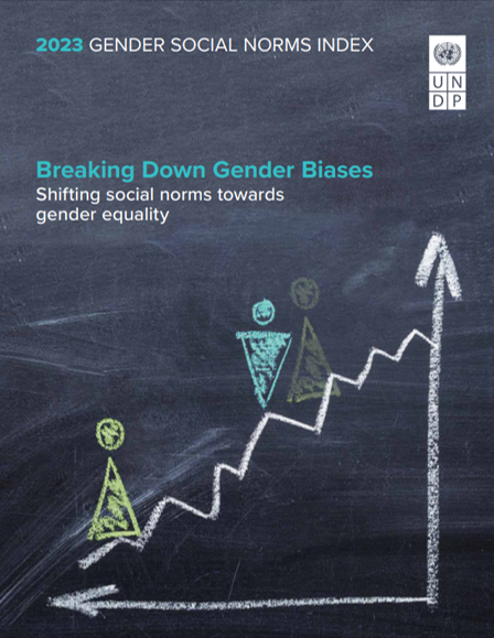Gender Norms Social Index cover image