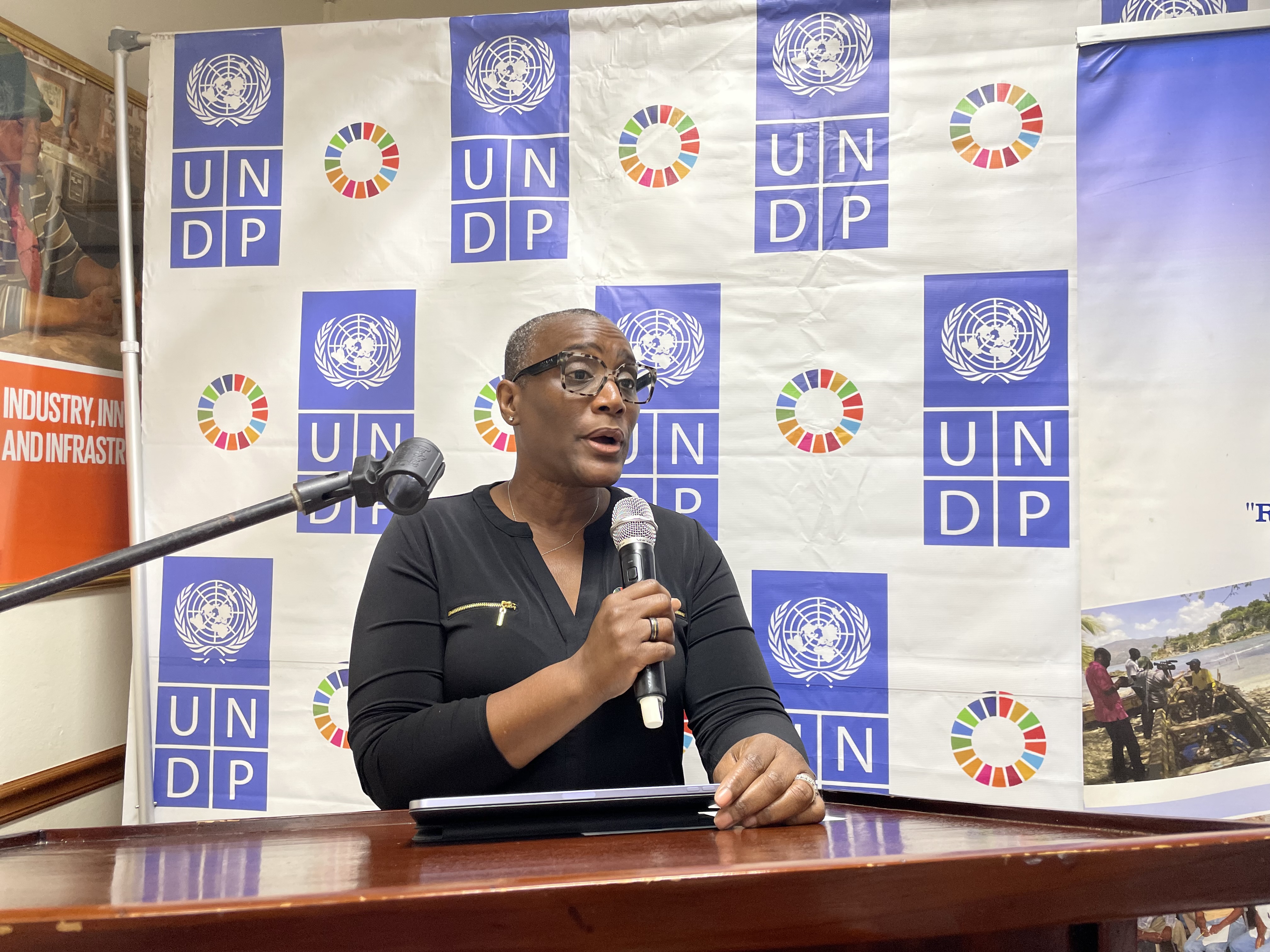 UNDP Res Rep speaking at World Environment Day event