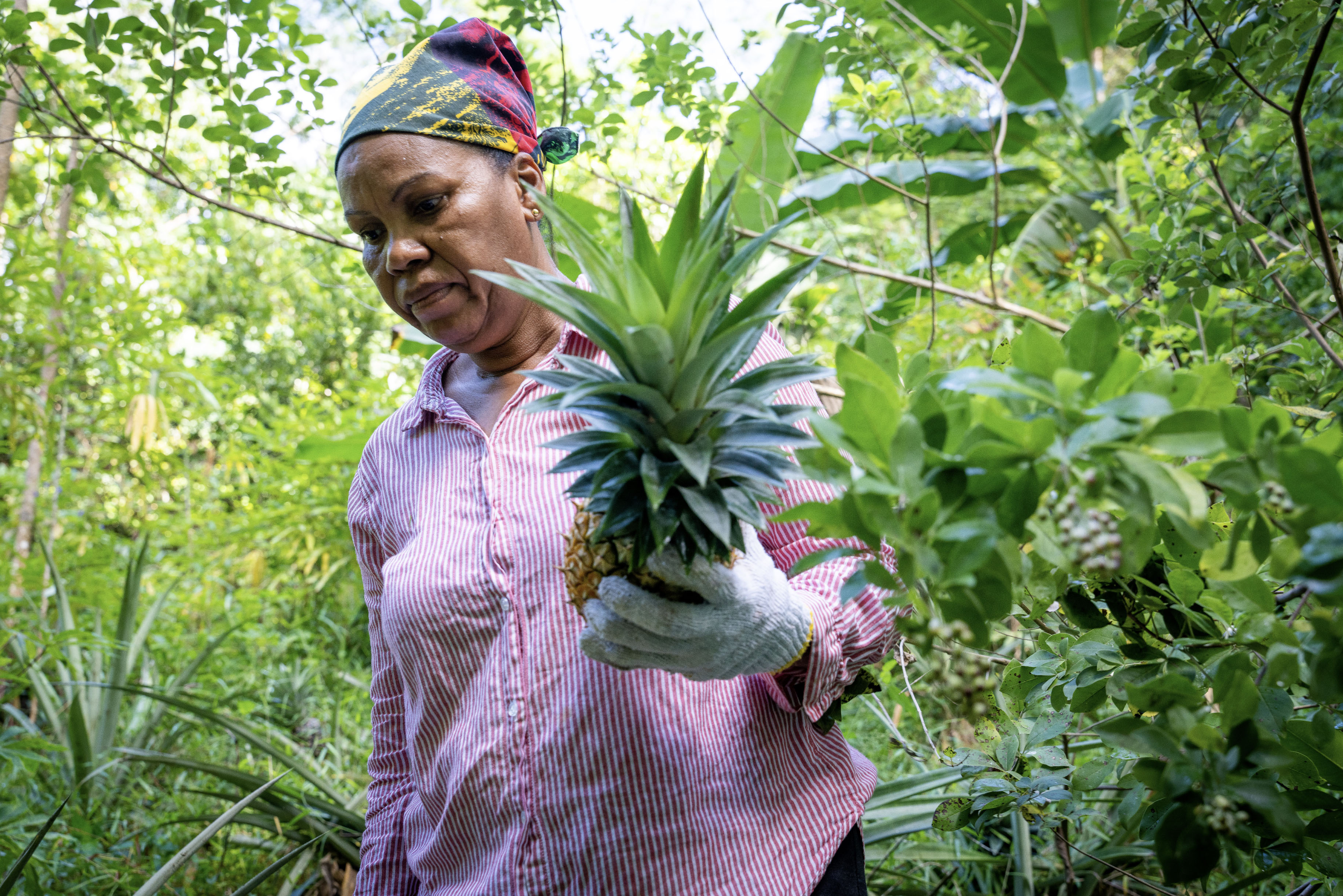 The Food and Agriculture Organization (FAO) highlights that if women could reinvest up to 90% of their earnings back into their households, they could break the cycle of intergenerational poverty. 