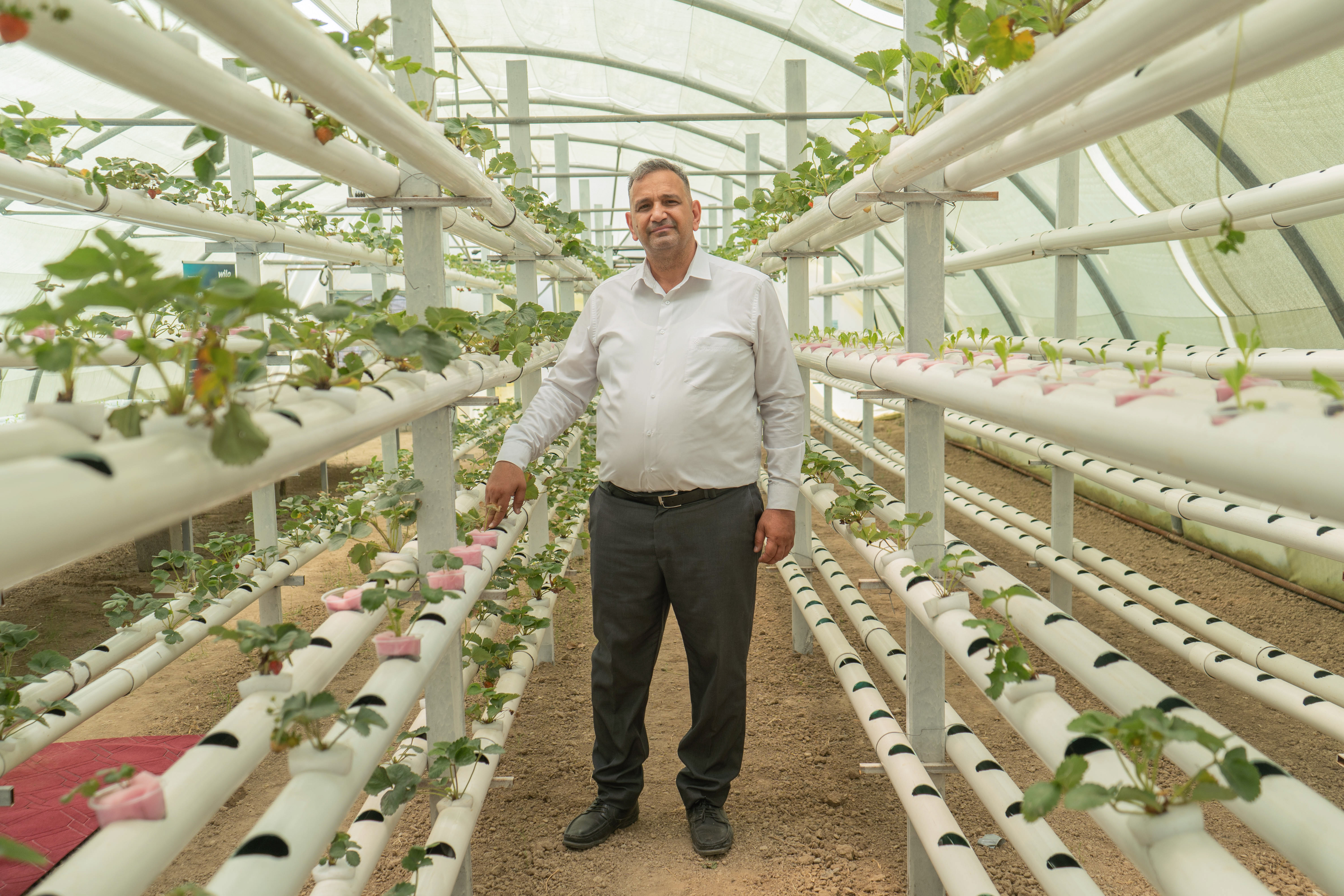 Hydroponic Innovations in Agriculture