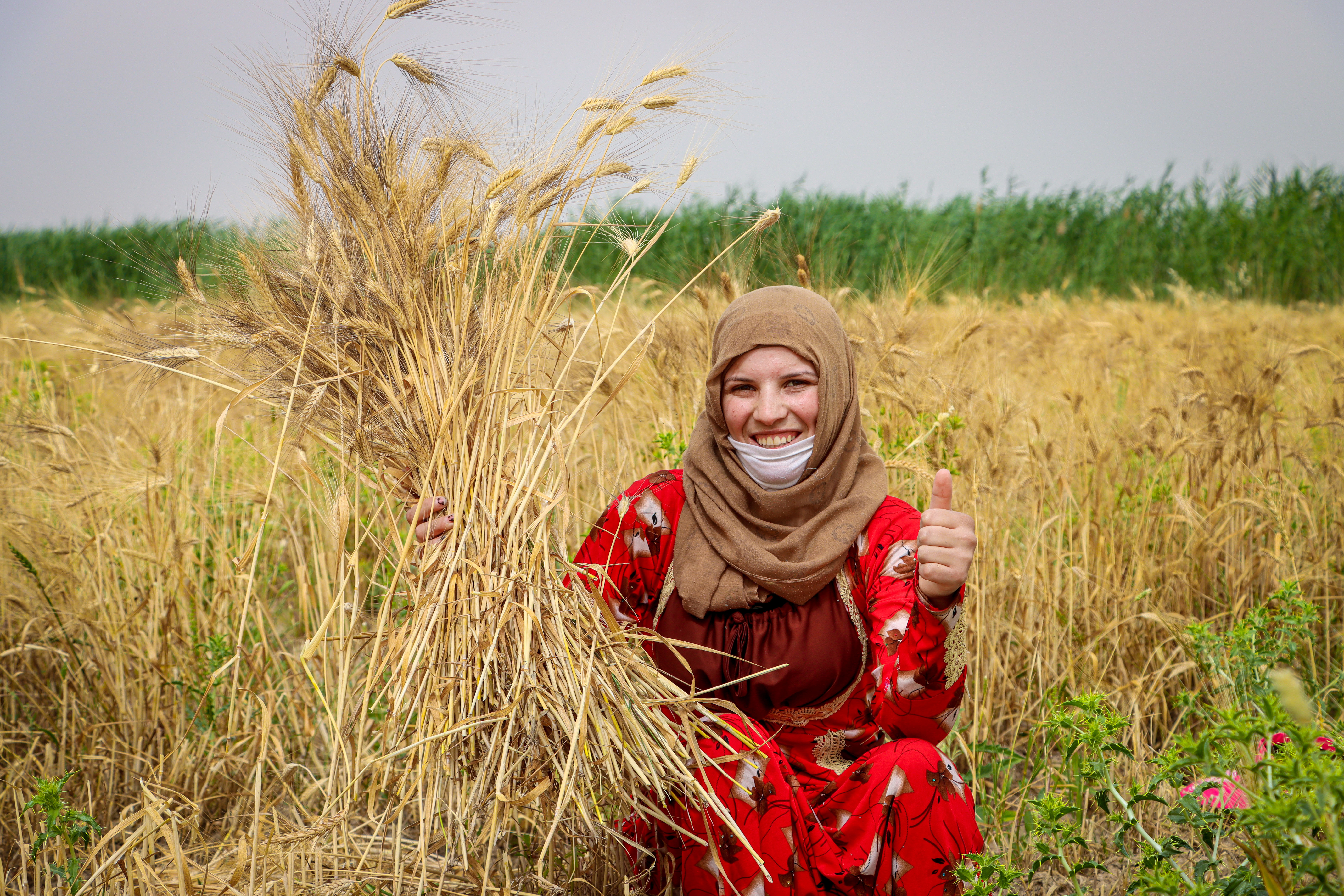 Women in wheat field