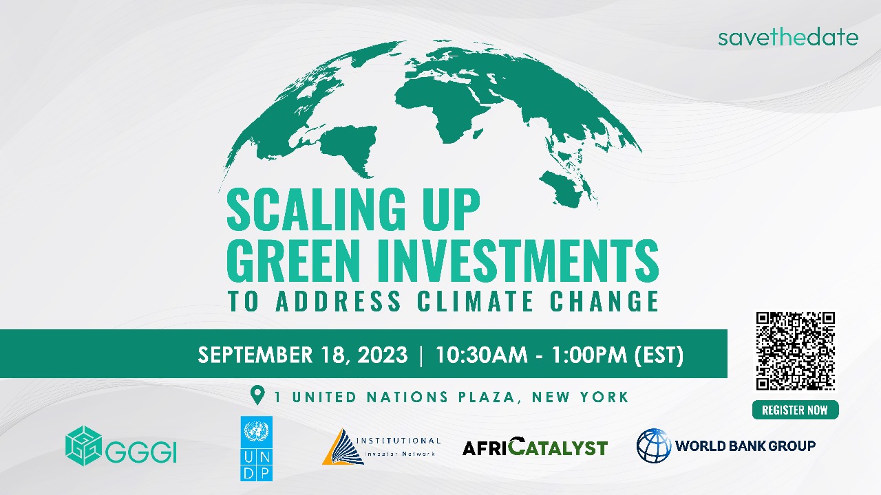 Scaling Up Green Investments UNGA78