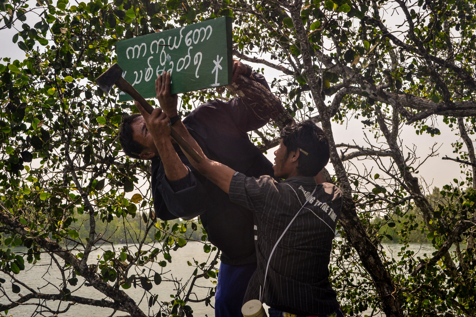 Two men in Myanmar's Tanintharyi Region hang a sign in a mangrove forest that reads: "This area is protected. Do not cut down trees.".