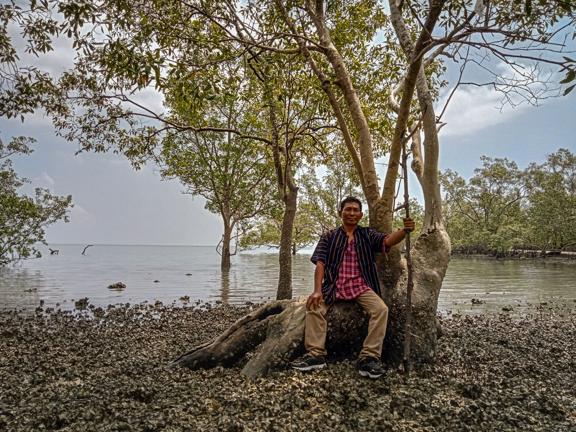 U Myo Oo sits in a mangrove forest in Myanmar's Tanintharyi Region