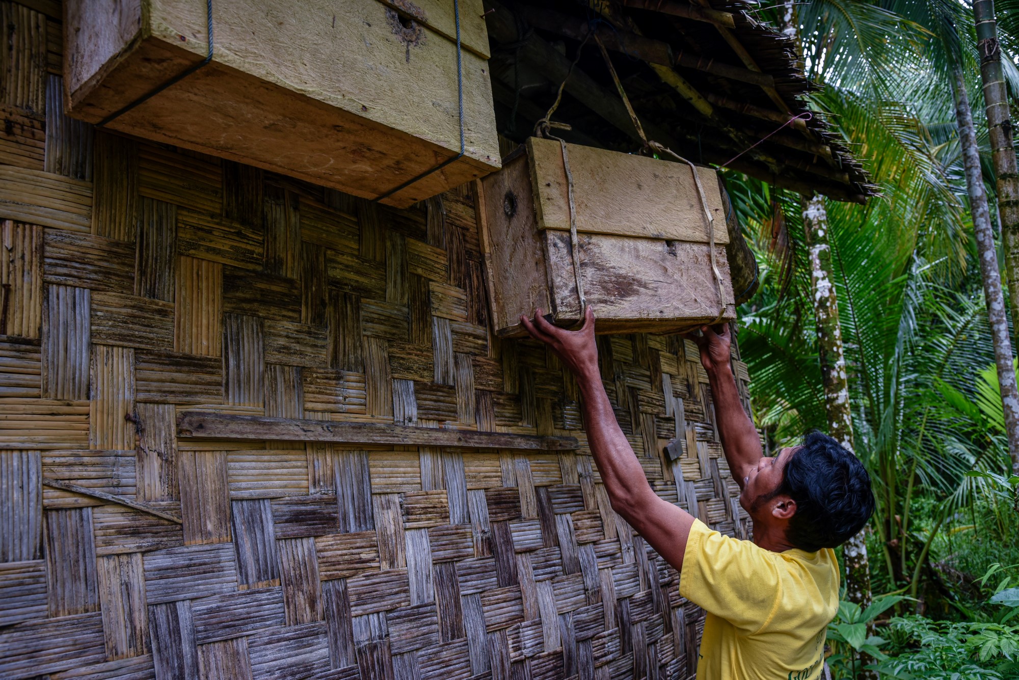 Aung Ko Ko hangs his beehives beneath a roof to keep them dry during rainy season