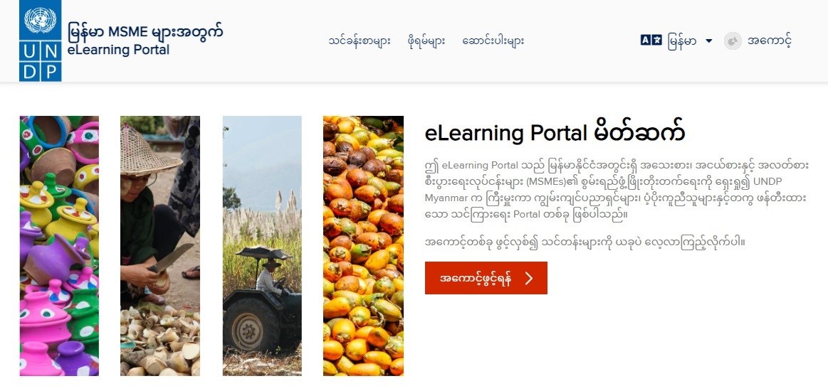 UNDP’s E-learning Portal for Micro, Small and Medium-sized Enterprises (MSMEs)