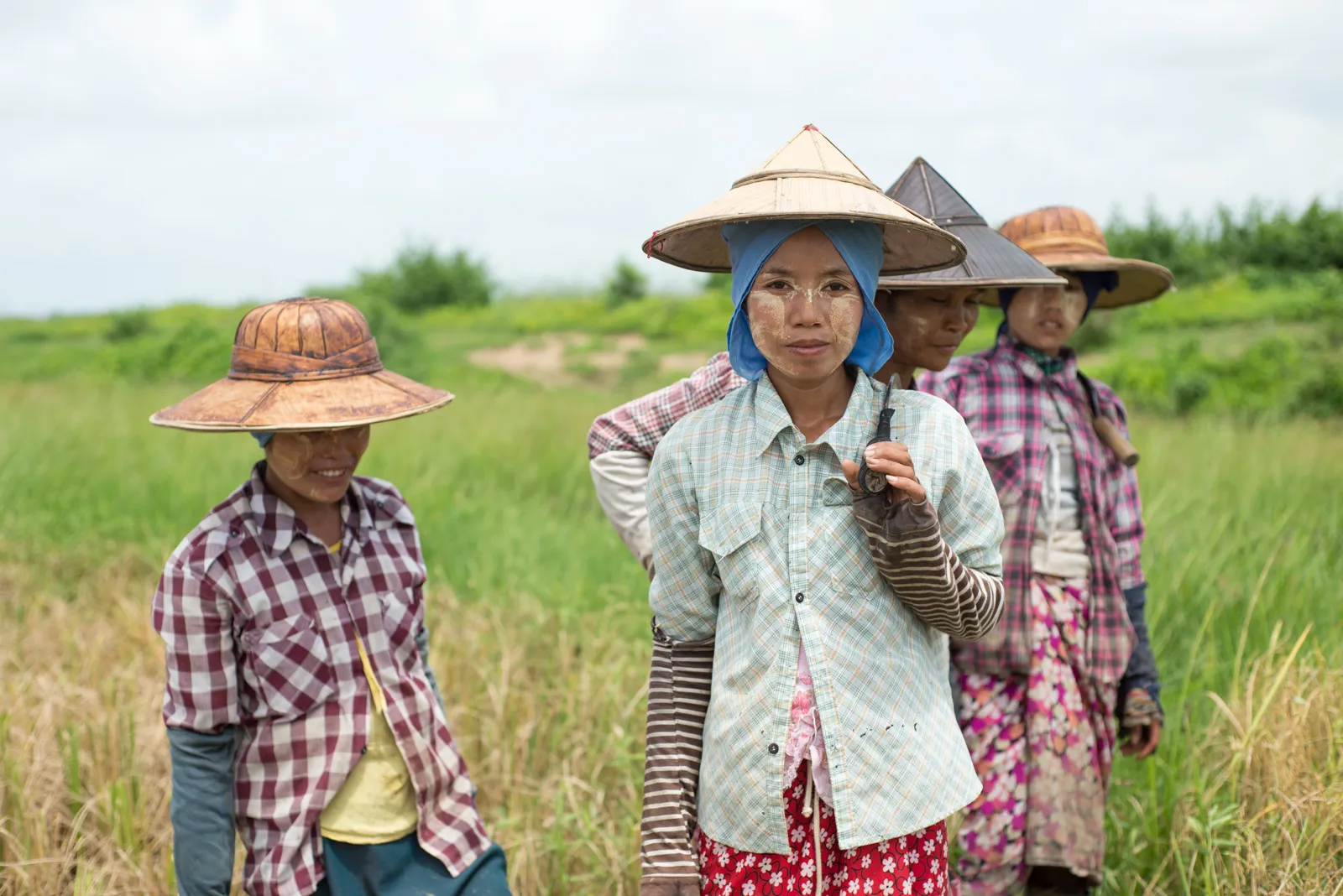 Women farming in Myanmar