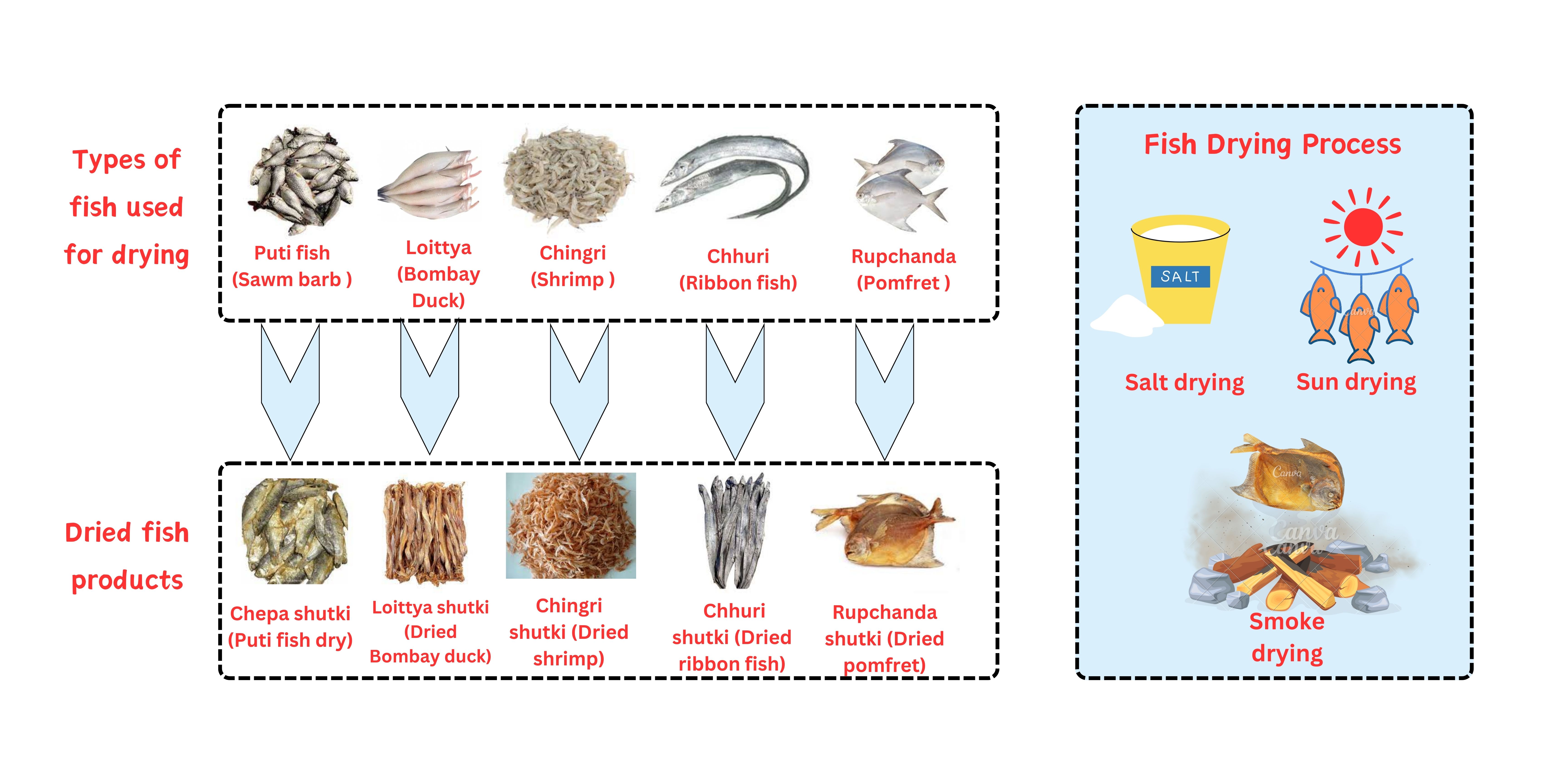 Experimenting the Potentials of Dried Fish in Bangladesh's Blue Economy