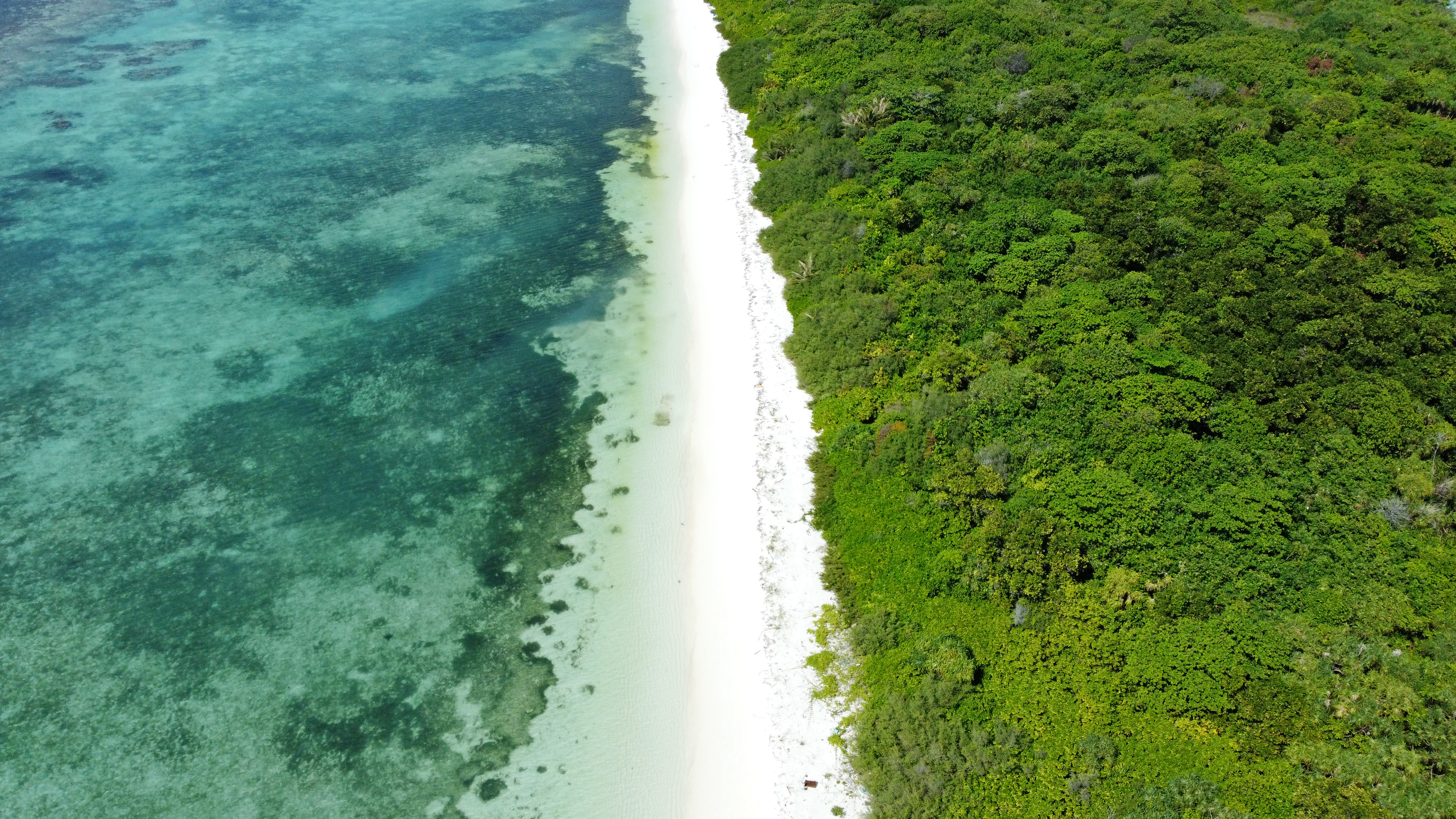 aerial view of an island in Maldives with green treetops of island on one side, the white beach in the middle and the lagoon and sea on the other