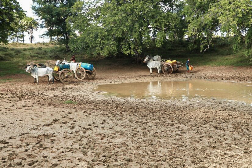 Community members in the dry zone transporting water using a cow carriage.