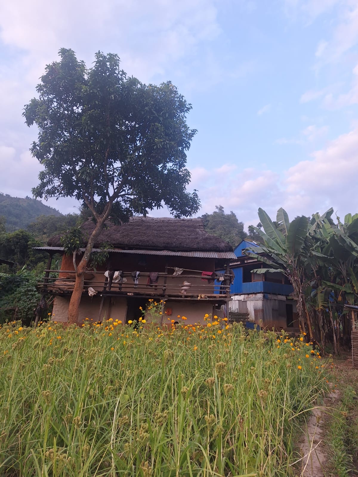 a picture of a house in a rural nepal