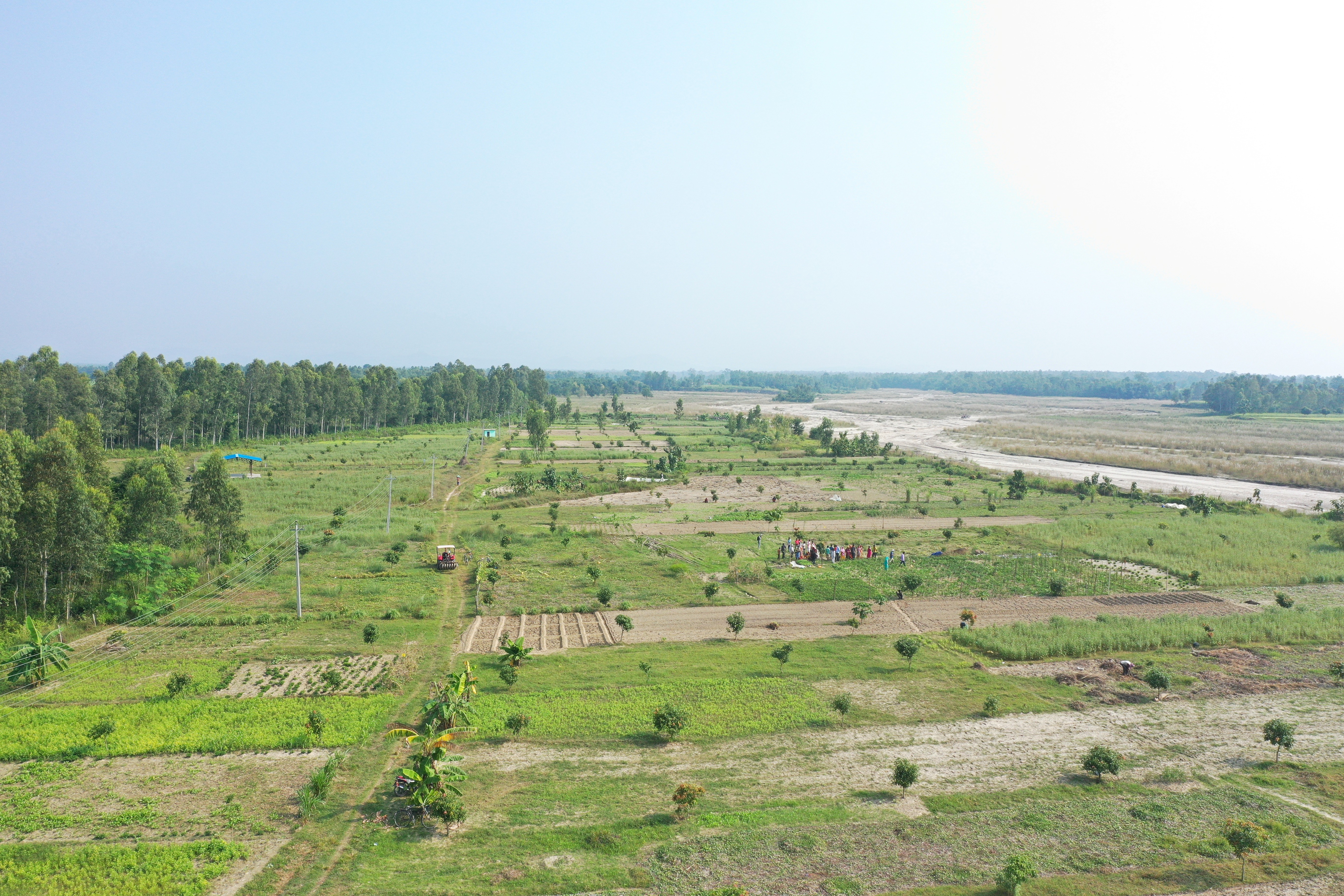 a large green field with trees in the background
