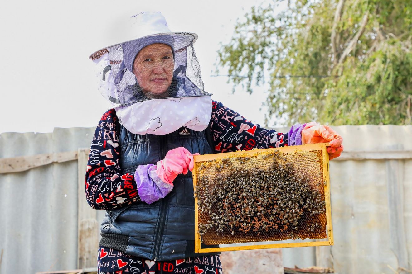A woman in a bee suit holds a honeycomb frame filled with bees.