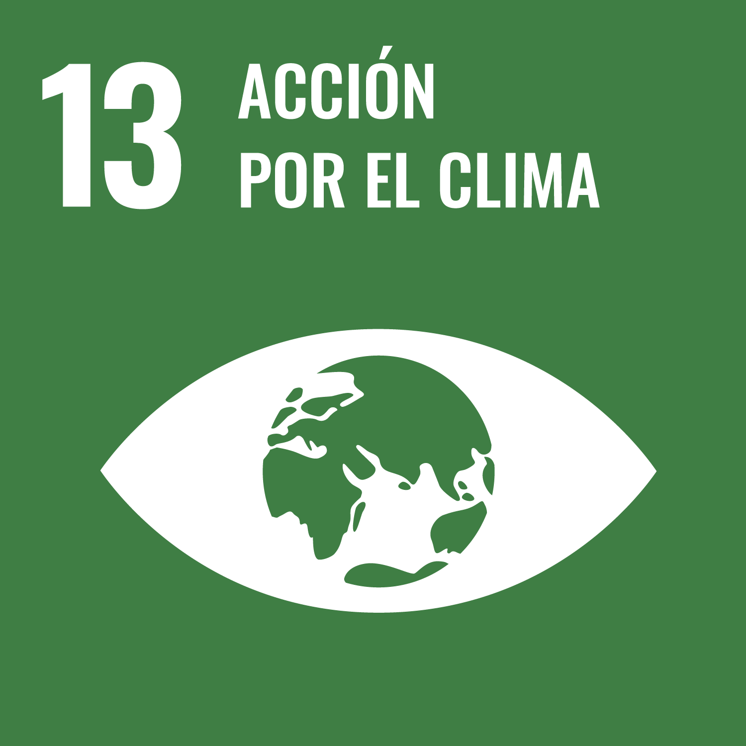 Green background with an eye symbol and a globe, labeled "13 Acción por el Clima."