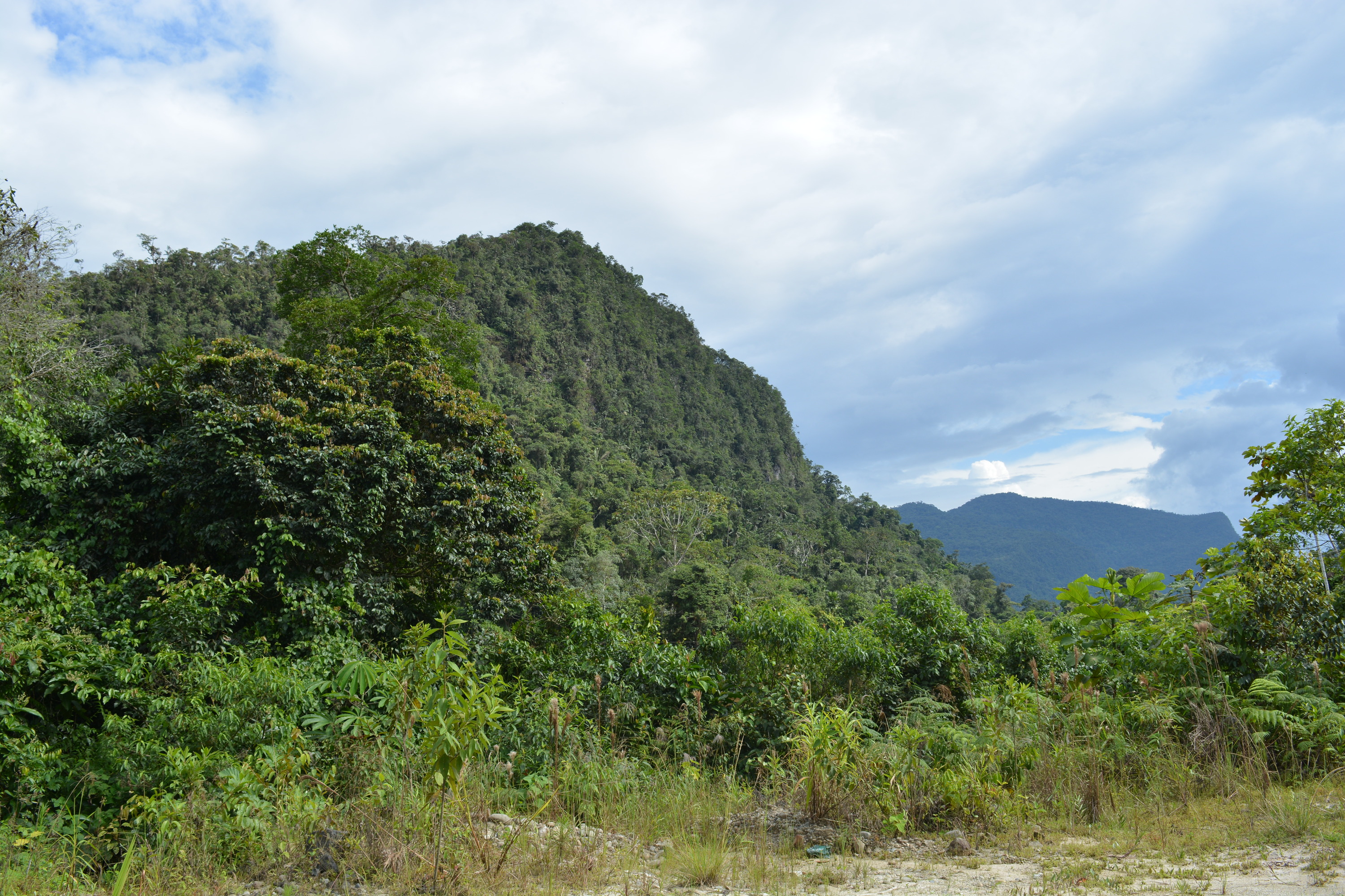 Lush green landscape with a rocky mountain under a cloudy sky.