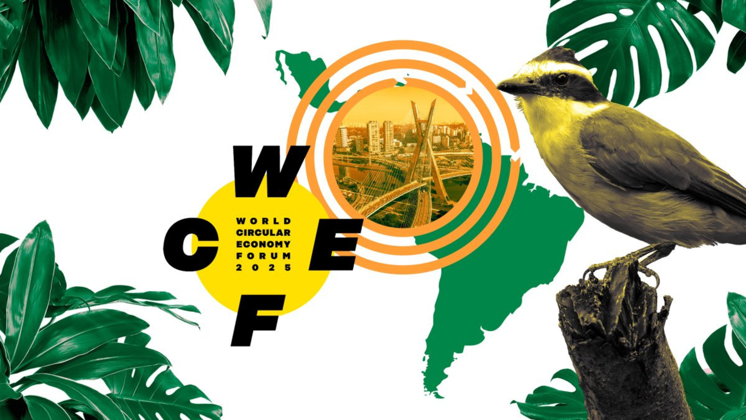 Colorful graphic featuring a bird, foliage, and abstract elements with a map outline in the background.