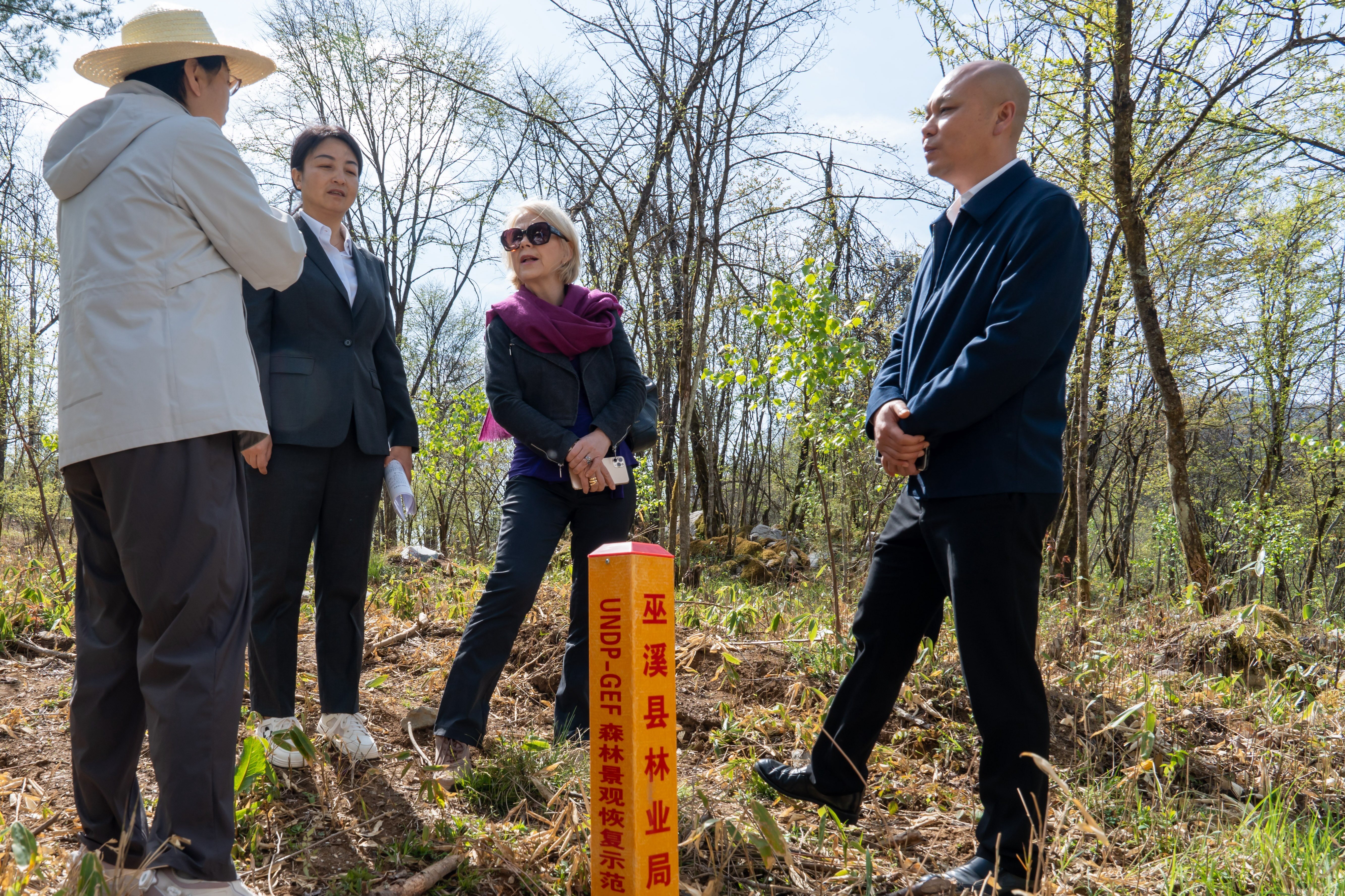 Four individuals in business attire are conversing in a wooded area, near a marked post.