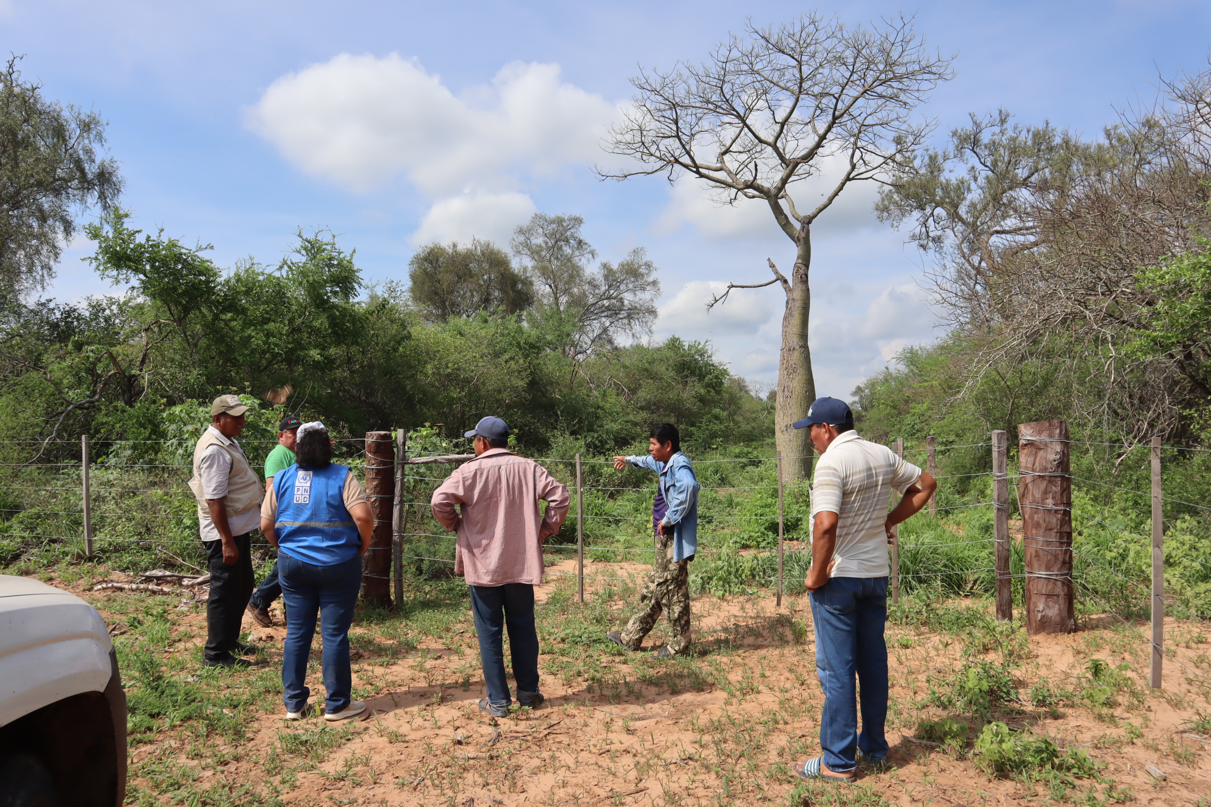 A group of six people discussing near a fence in a green, open area with trees.