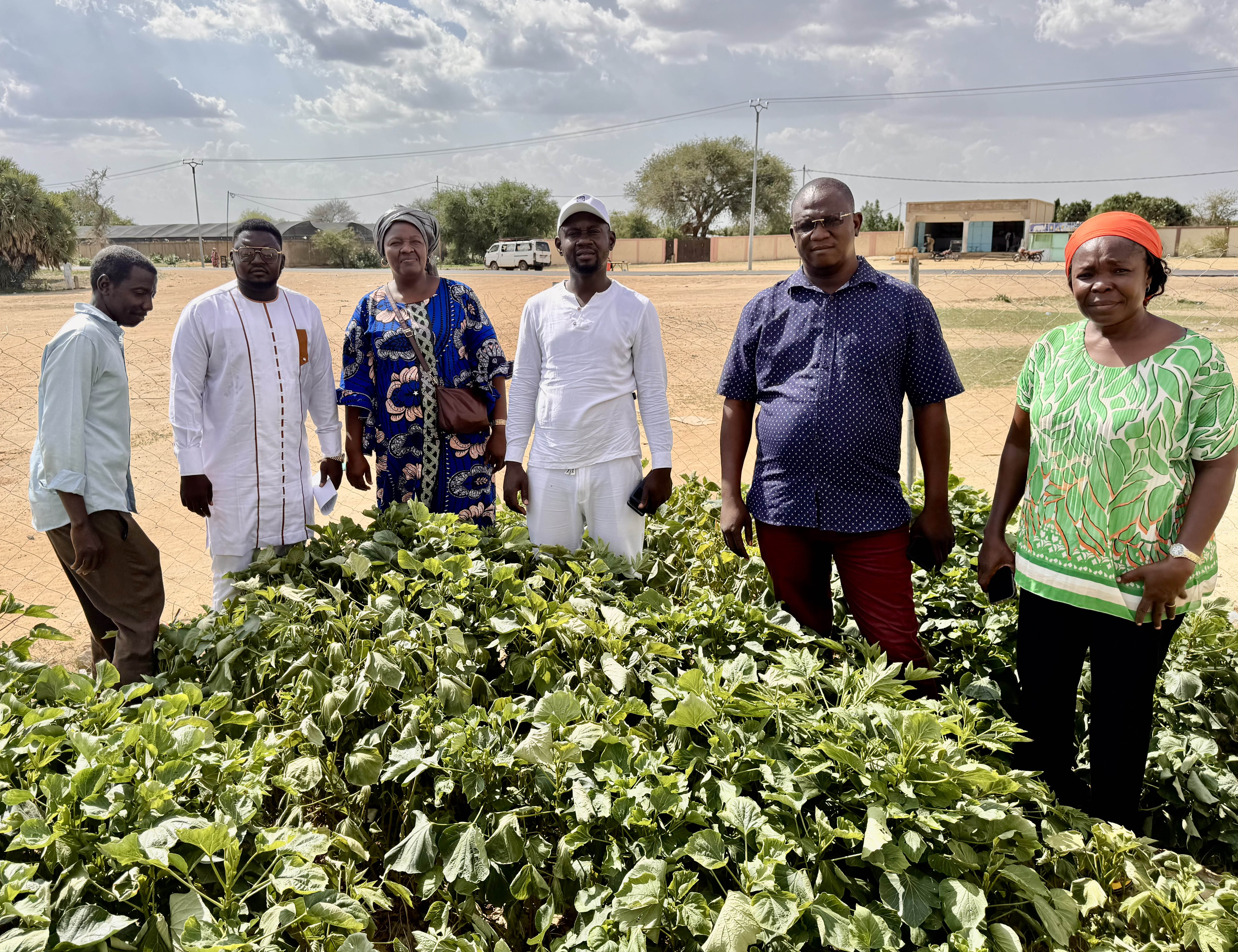 A group of six people stands together near lush green plants, with a clear sky in the background.