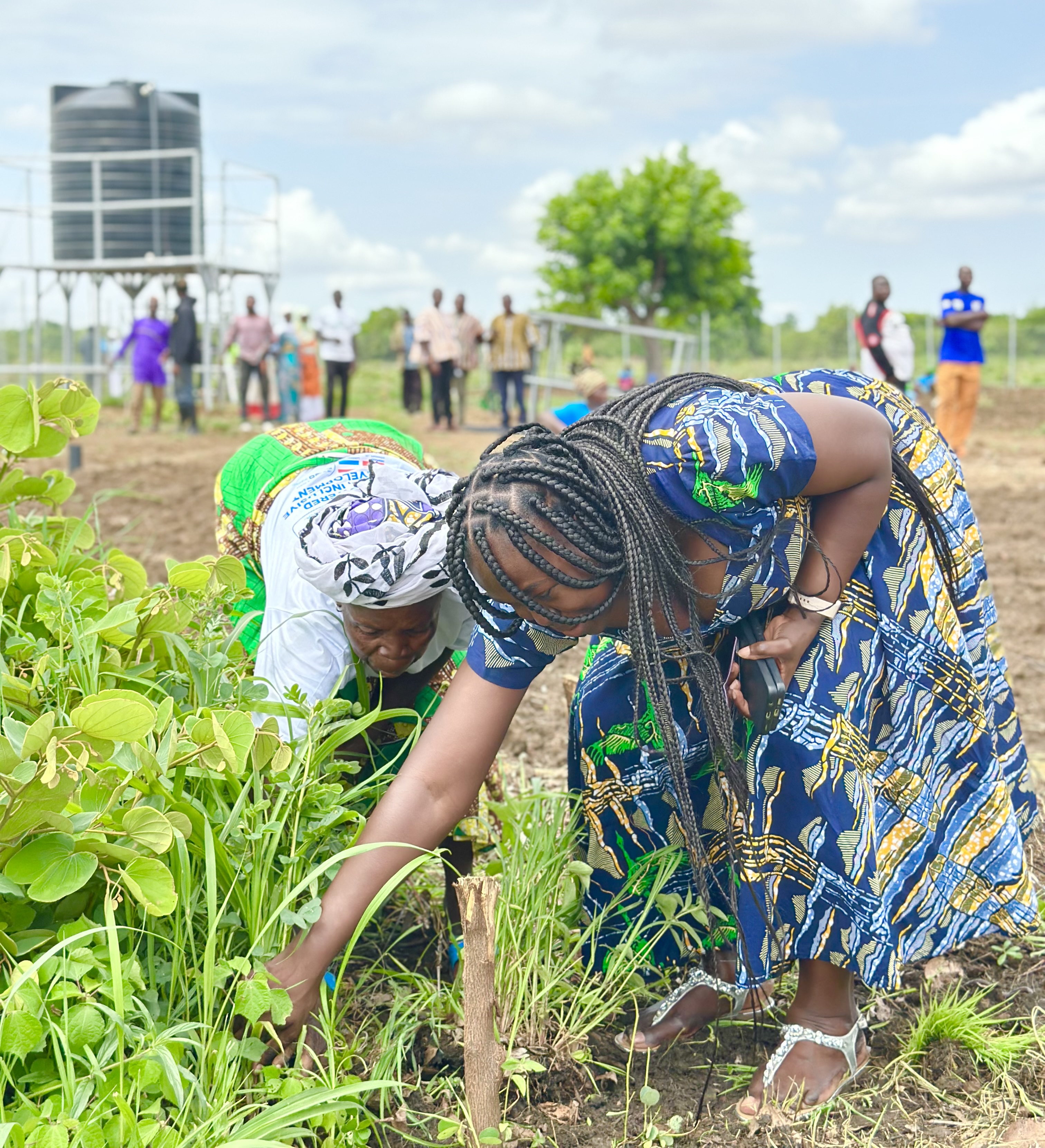 Two women in colorful dresses working together in a garden, planting or harvesting crops.