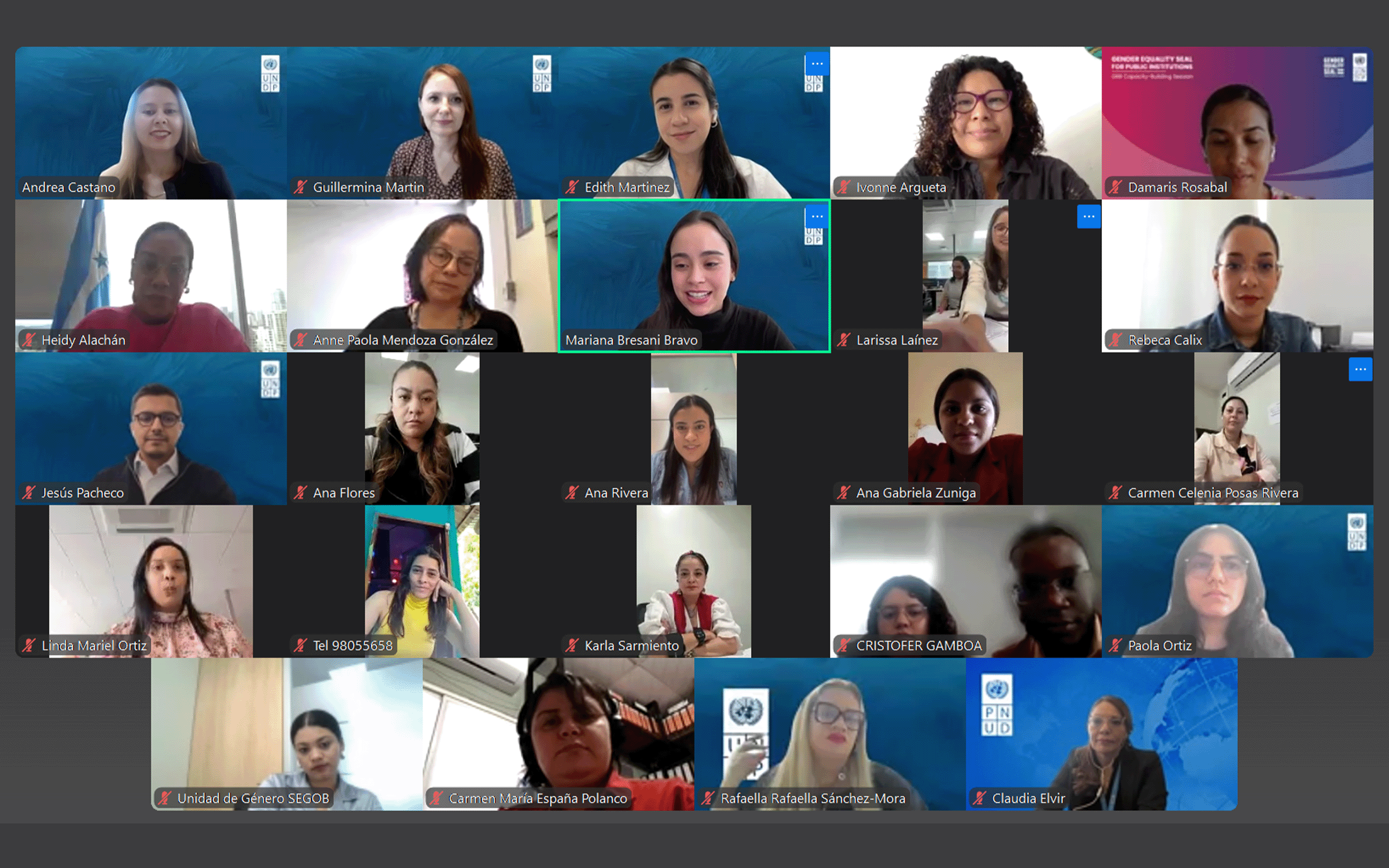Participantes del webinar acerca de presupuestación sensible al género en instituciones públicas