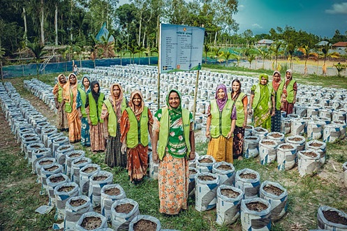 A group of women in colorful attire stand in a farming field, surrounded by planter bags.