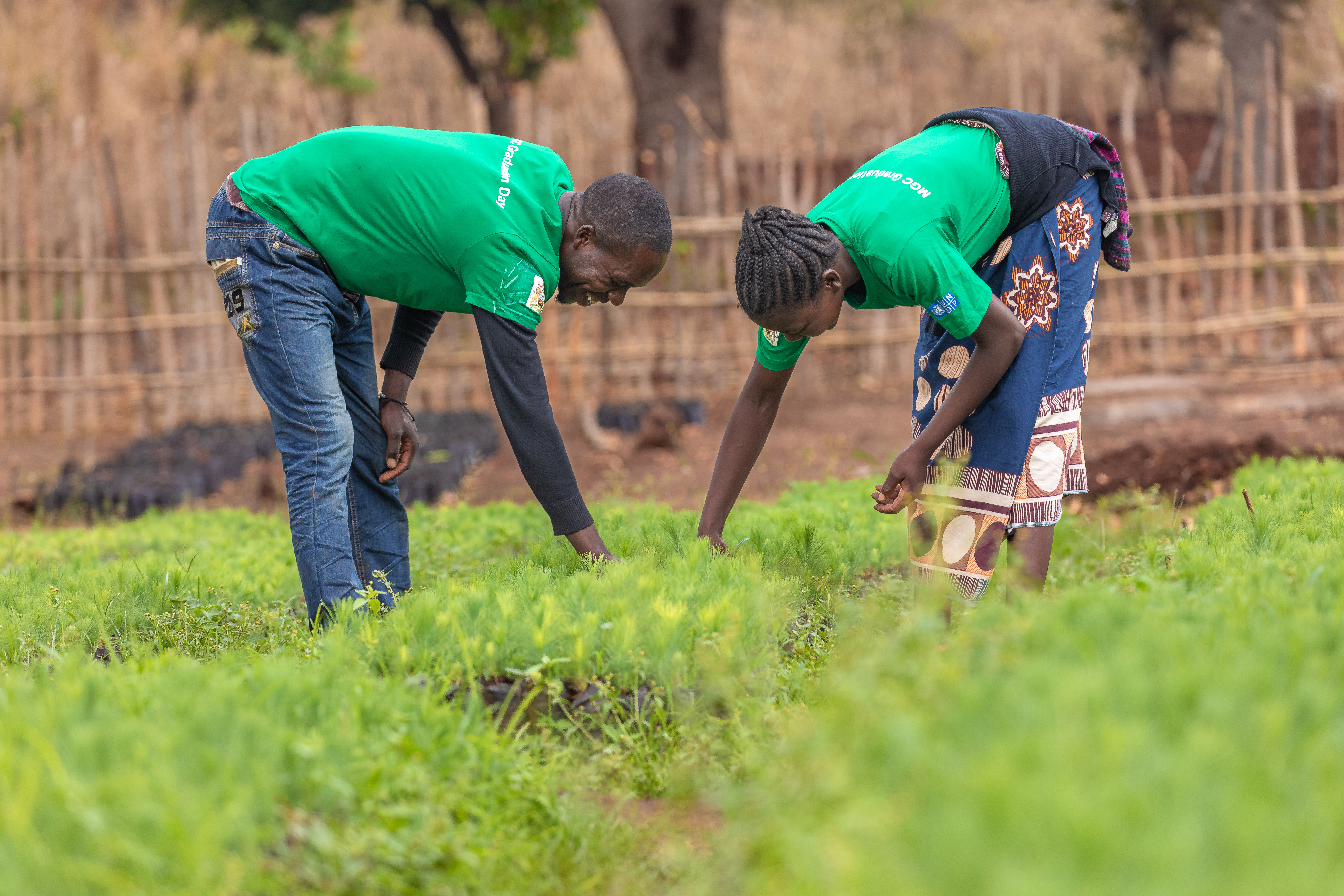 Two people in green shirts working together in a lush, green field.