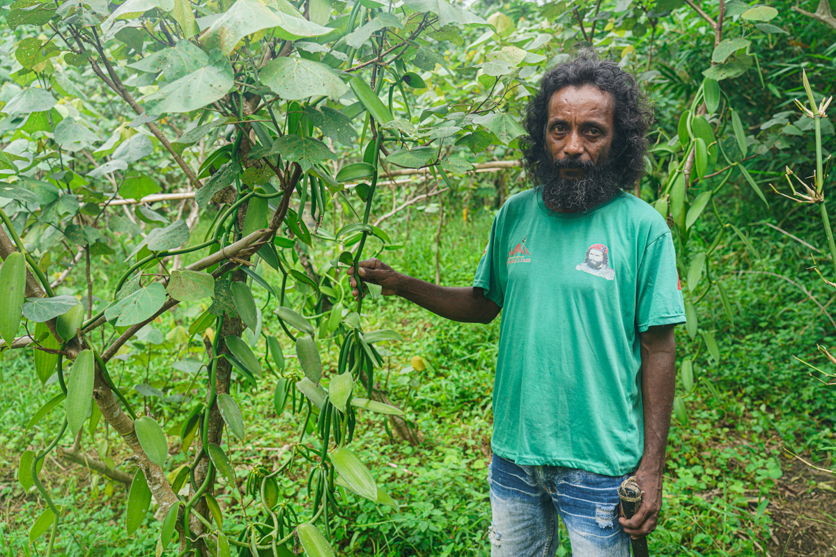 A man with a beard stands beside a tall green plant with long pods in a lush field.