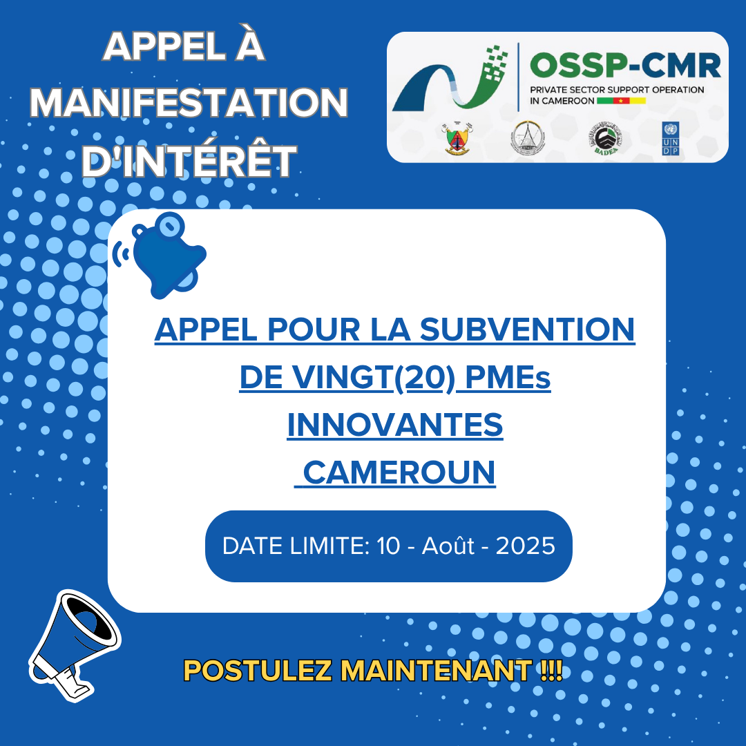 Announcement for funding opportunities for 20 innovative SMEs in Cameroon, deadline August 10, 2025.