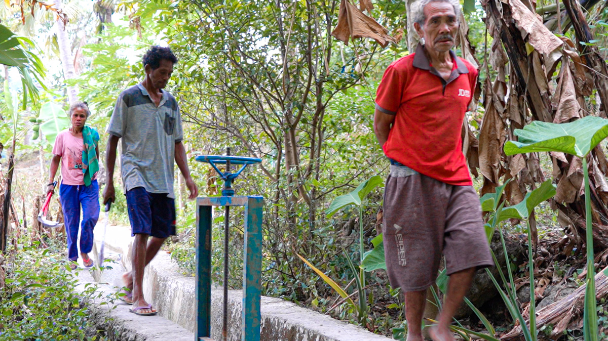 Three people walk along a narrow path in a lush, green environment.