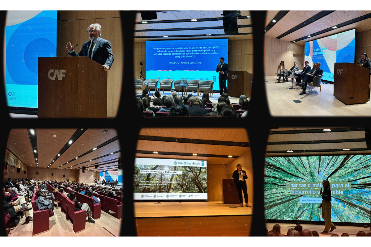 Collage de seis fotos del Seminario FIC - Uruguay - 2025