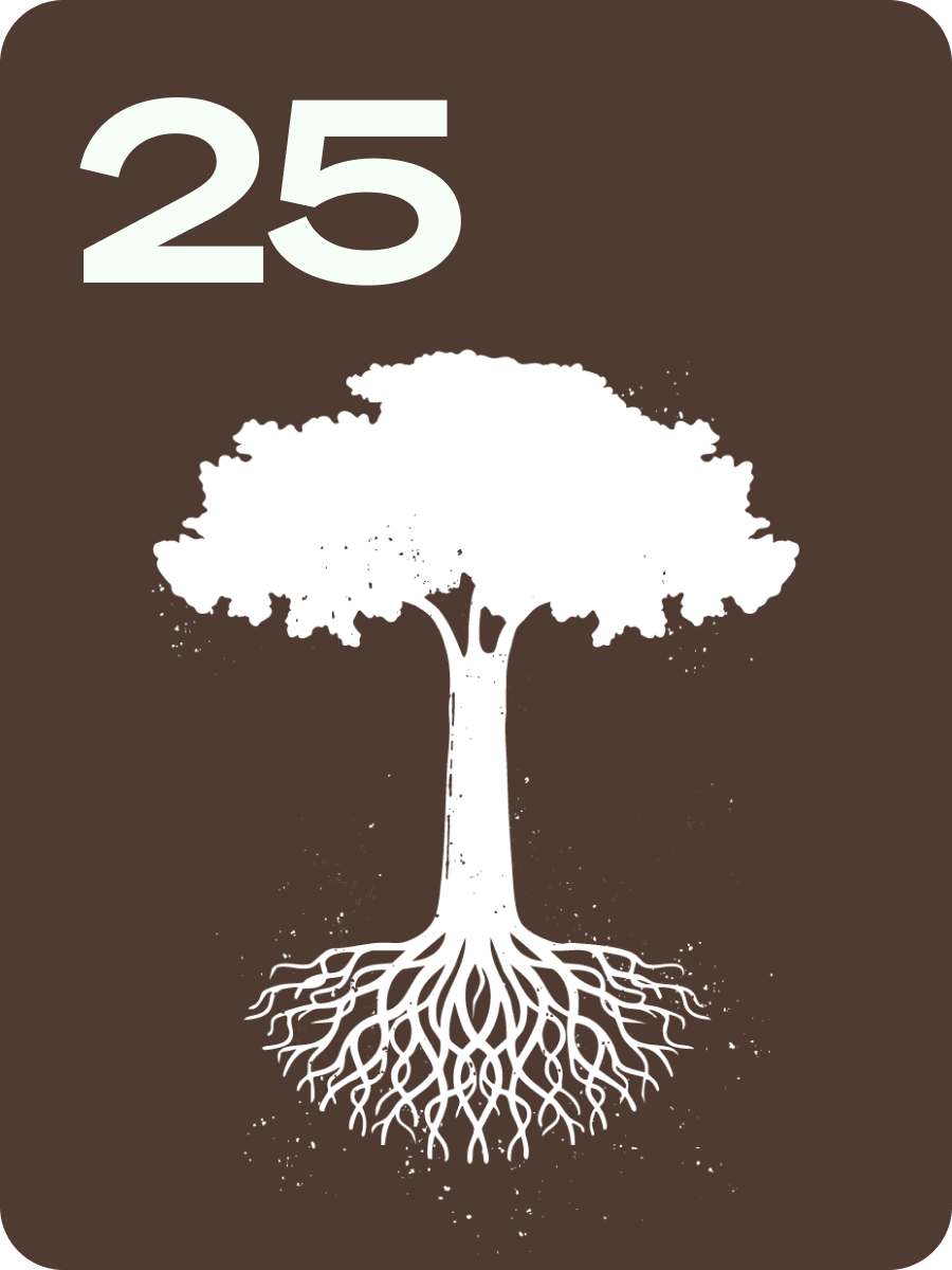 Logo: white tree with roots on a brown background, number 25.