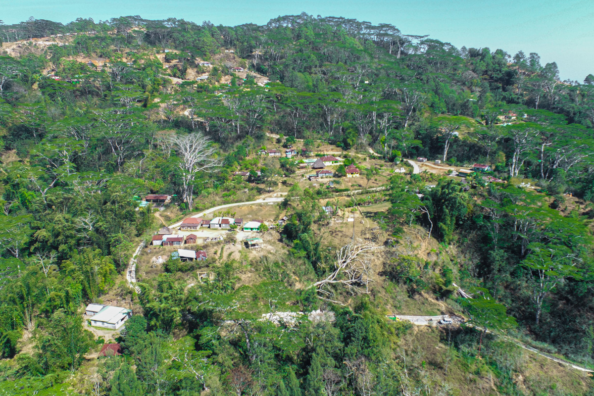 Terraced hillside with houses and lush trees.