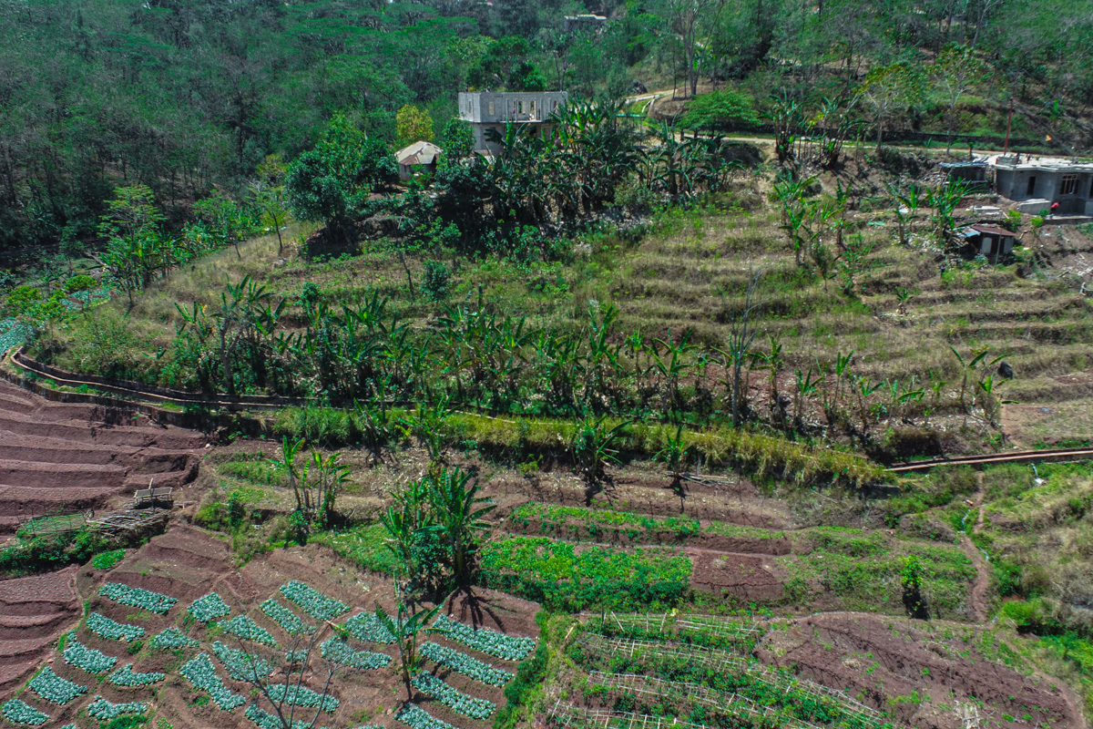Terraced hillside farmland with lush green fields and small houses at the top.
