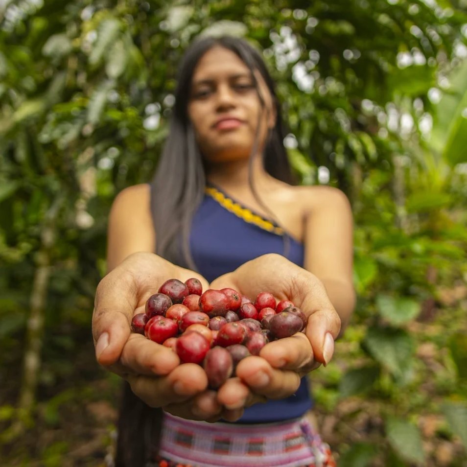 Person with long hair holds red berries toward the camera in a forest.