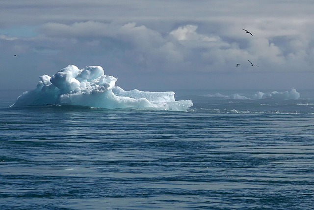 Iceberg floating in calm sea under a cloudy sky with a few birds overhead.