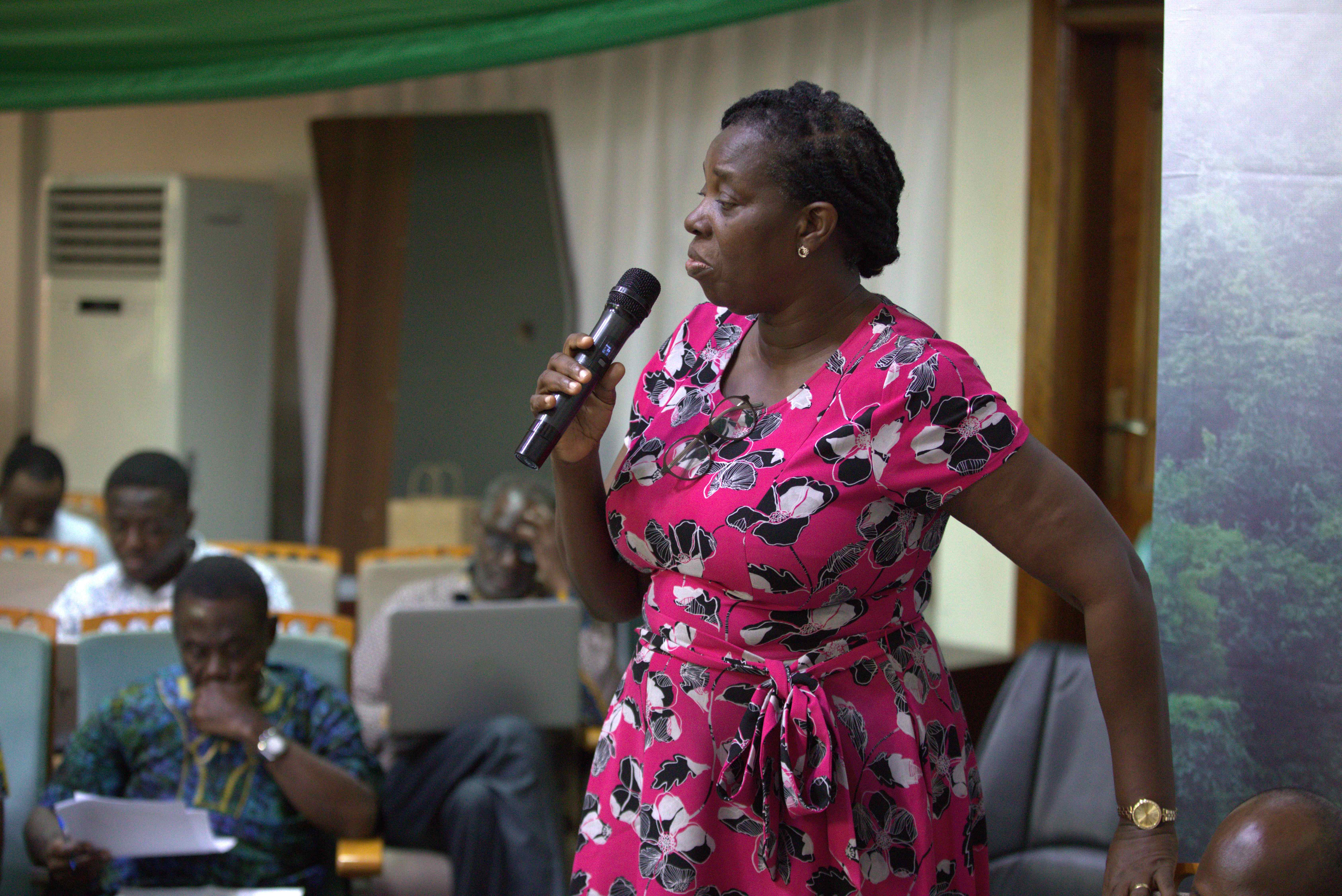 UNDP Ghana_SECO.jpg