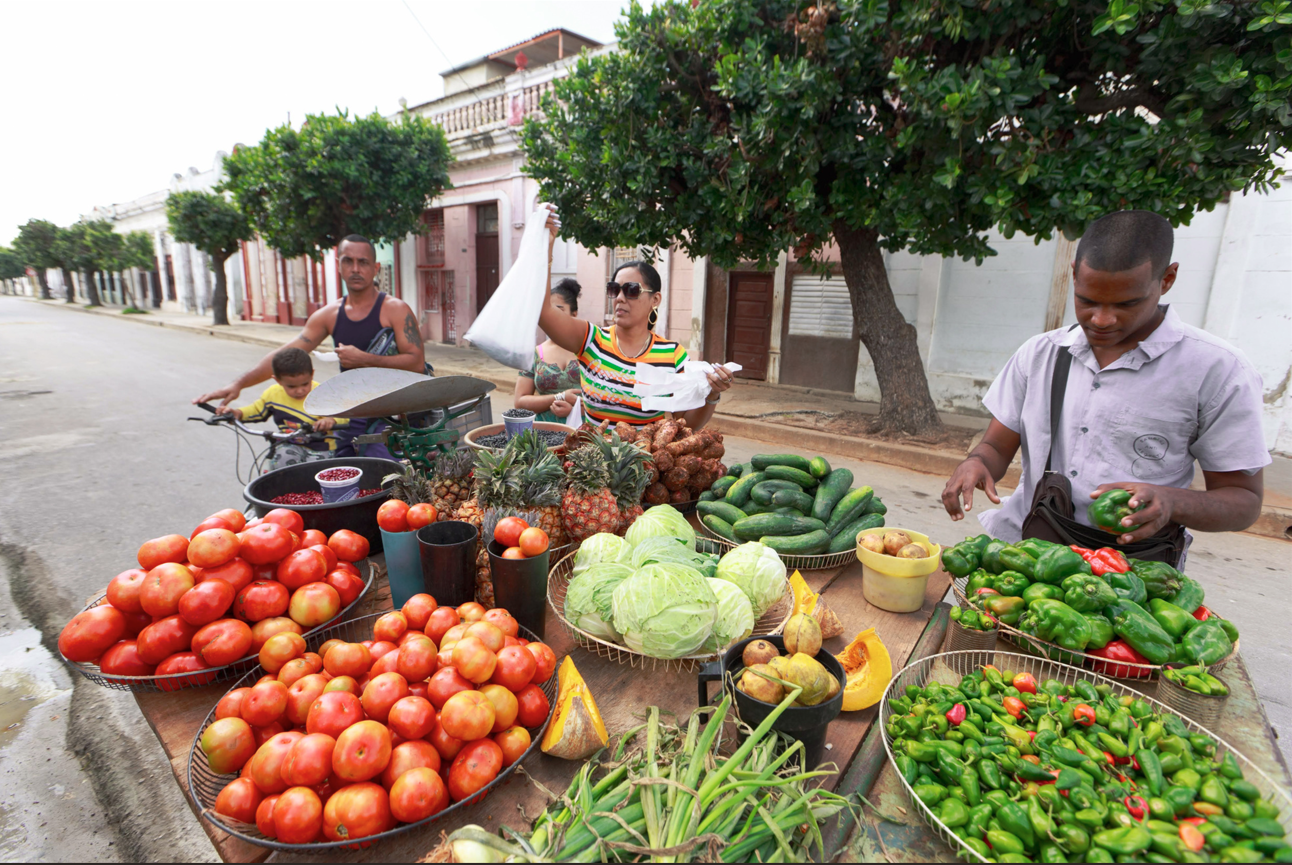 Photograph of a bustling street market with crates of tomatoes, peppers, cabbage, and shoppers.