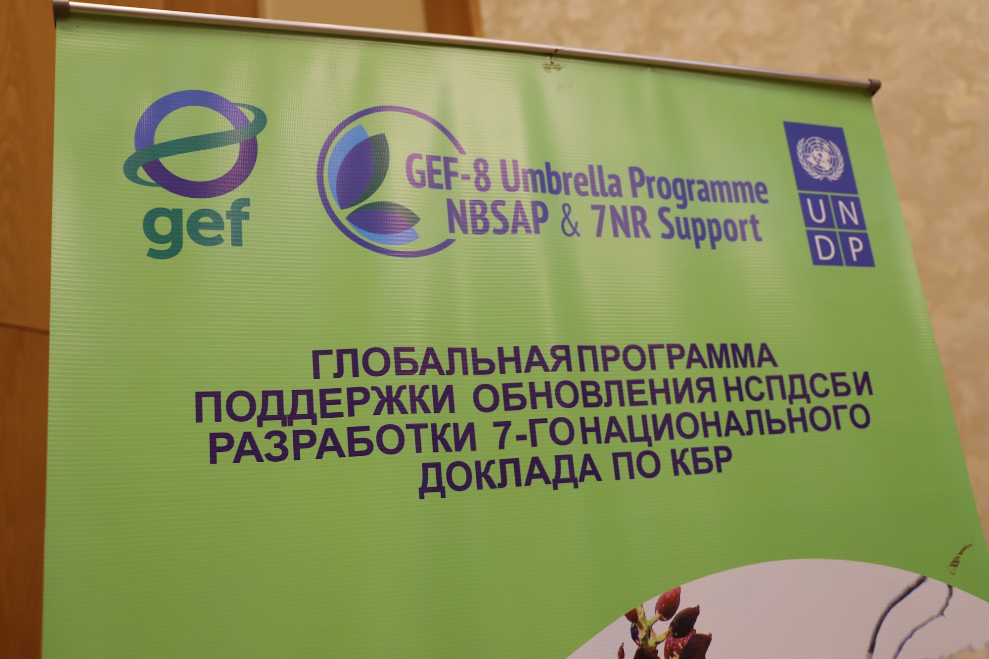 Green banner displaying GEF and UNDP logos with Cyrillic program text.
